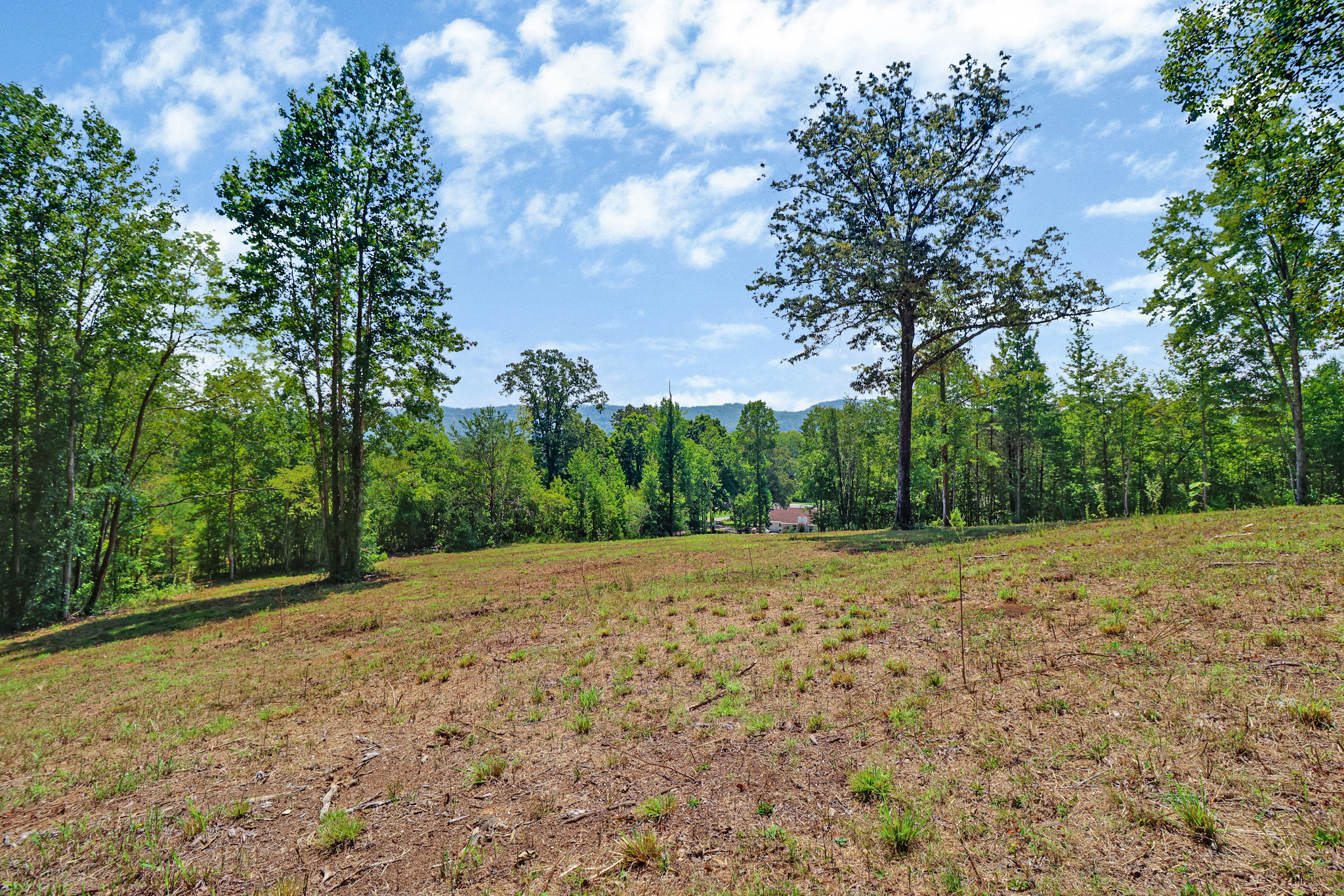 Rockwood, Tennessee, 37854, United States, 4 Bedrooms Bedrooms, ,3 BathroomsBathrooms,Residential,For Sale,2011403