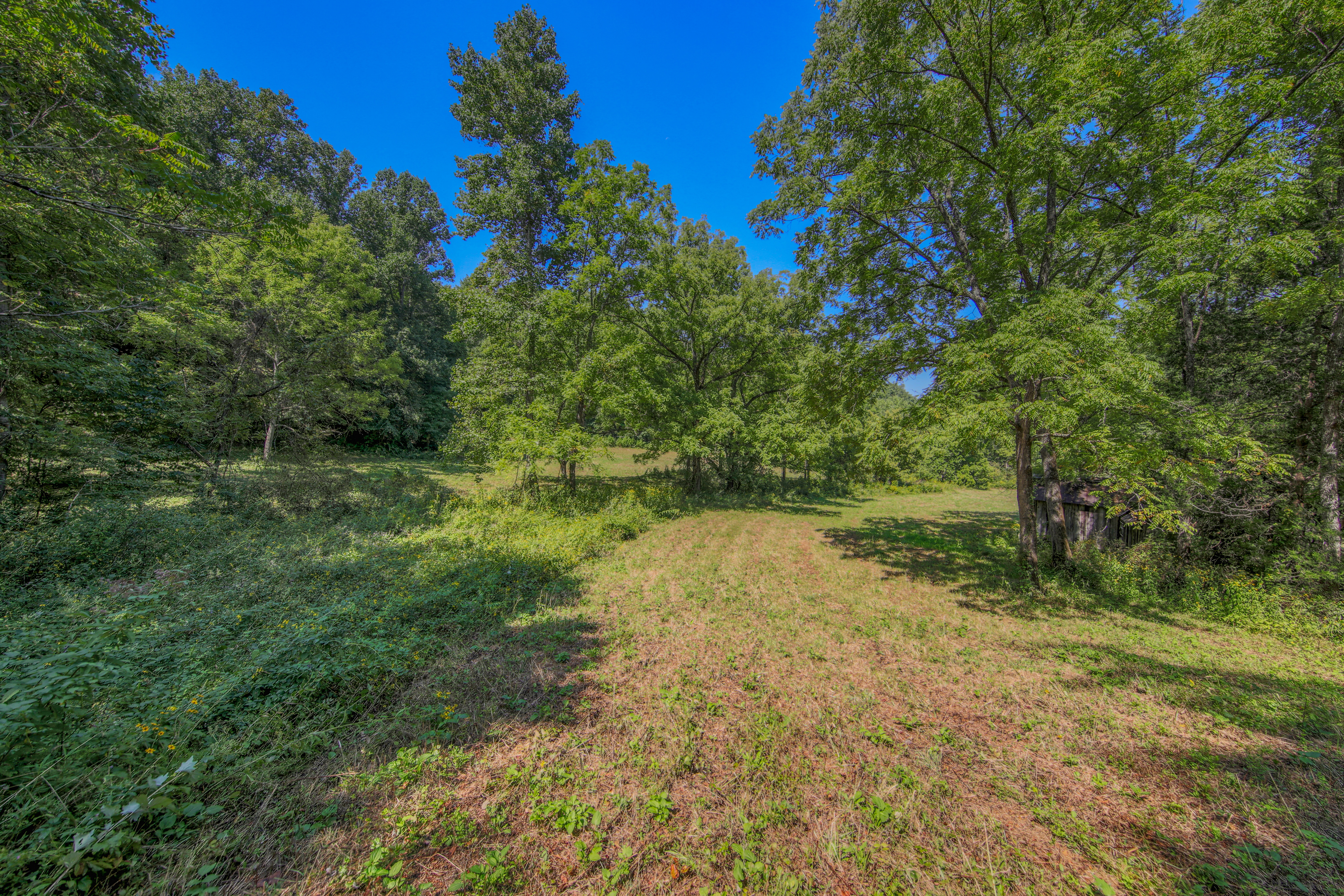  Belcher Loop, Tellico Plains, TN 37385 - 物件實景