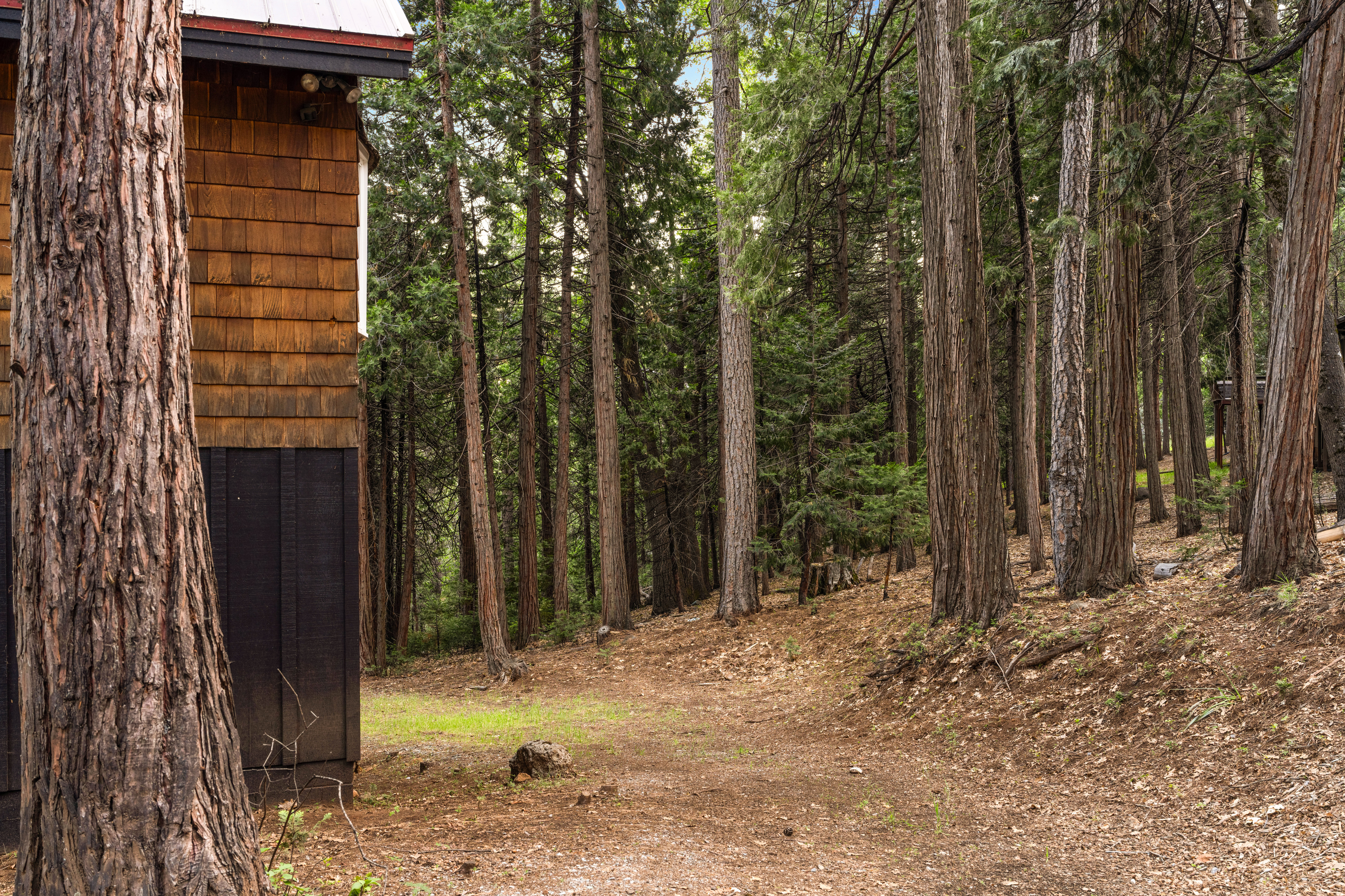  6742 Diamond Drive, Pollock Pines, CA 95726 - 物件實景