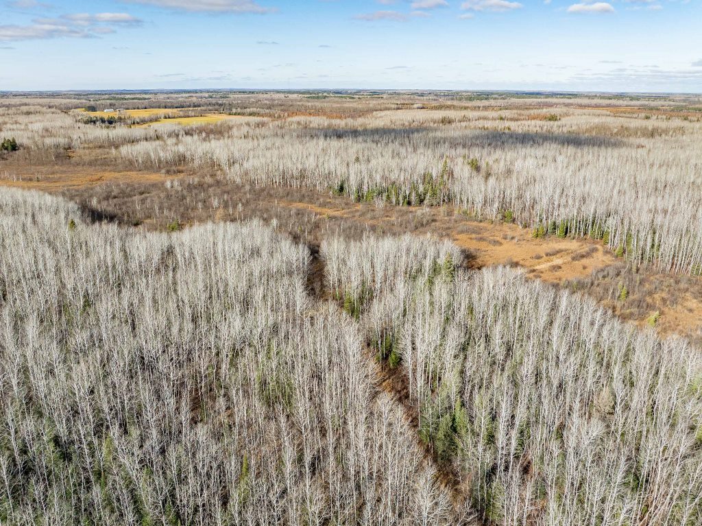 Grand Rapids, Minnesota, 55744, United States, ,Land,For Sale,1983791