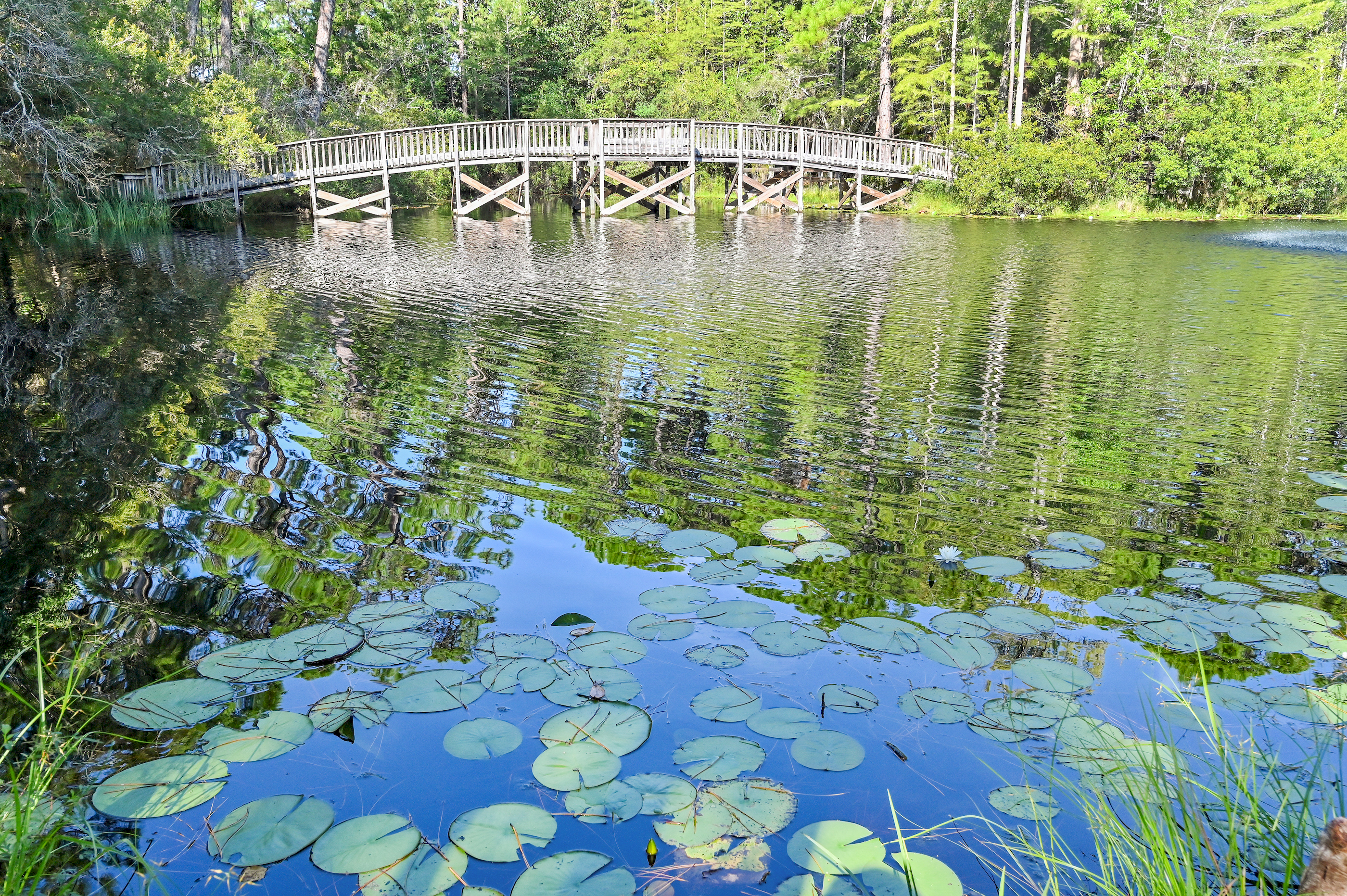  Charming Seagrove Beach Cottage Surrounded by Nature - 物件實景