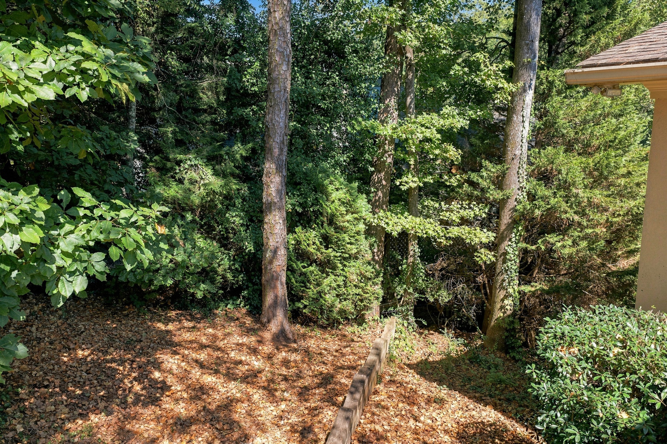  Sandy Springs Gem - 物件實景