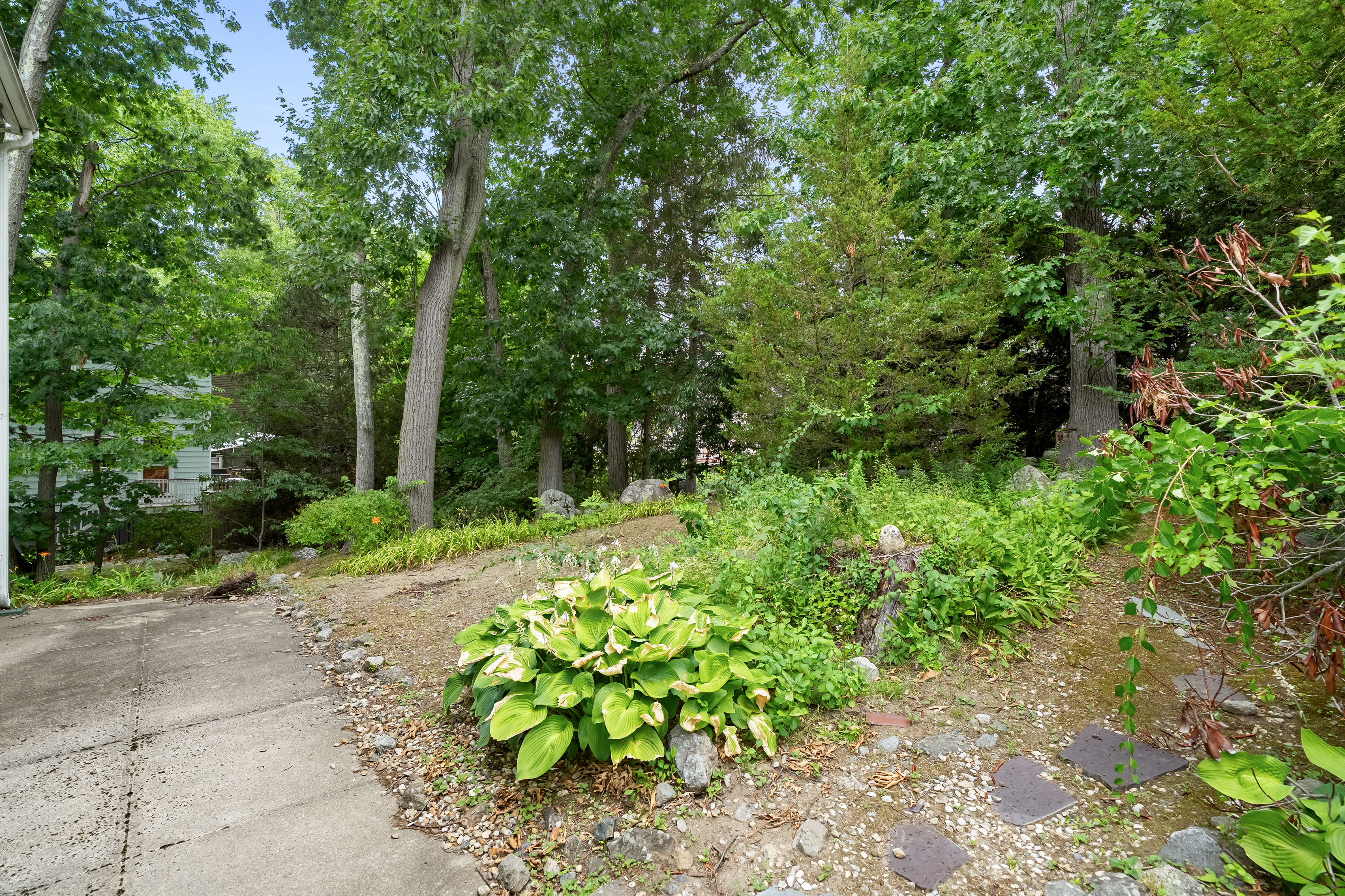  77 Wright Street, Arlington, MA, 02474 - 物件實景