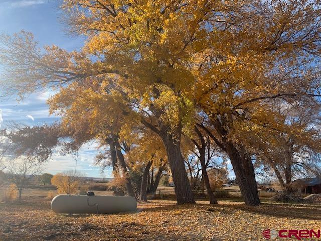 Dolores, Colorado, 81323, United States, 3 Bedrooms Bedrooms, ,3 BathroomsBathrooms,Residential,For Sale,1987313