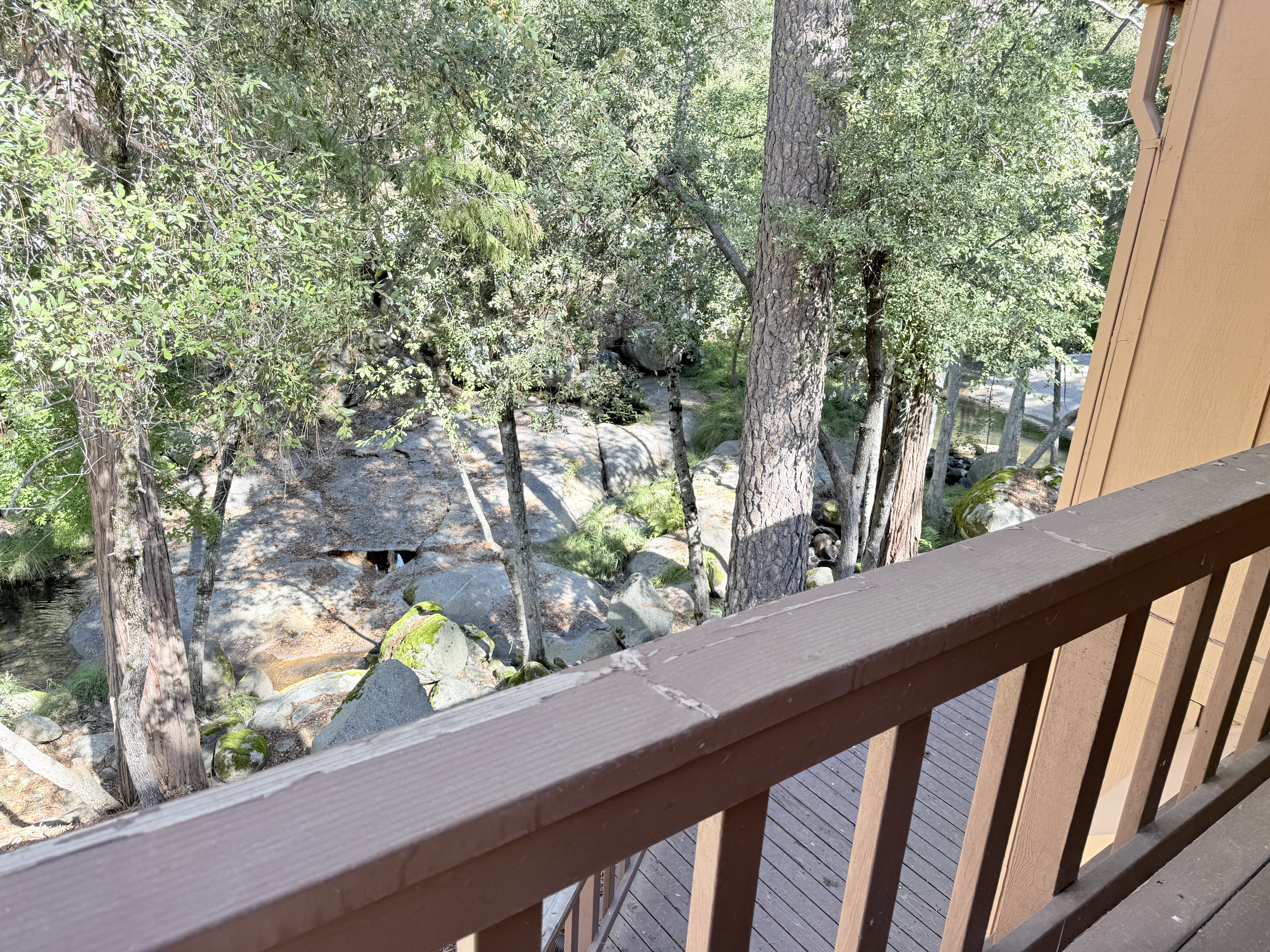 Mariposa, California, 95338, United States, 3 Bedrooms Bedrooms, ,3 BathroomsBathrooms,Residential,For Sale,1973787