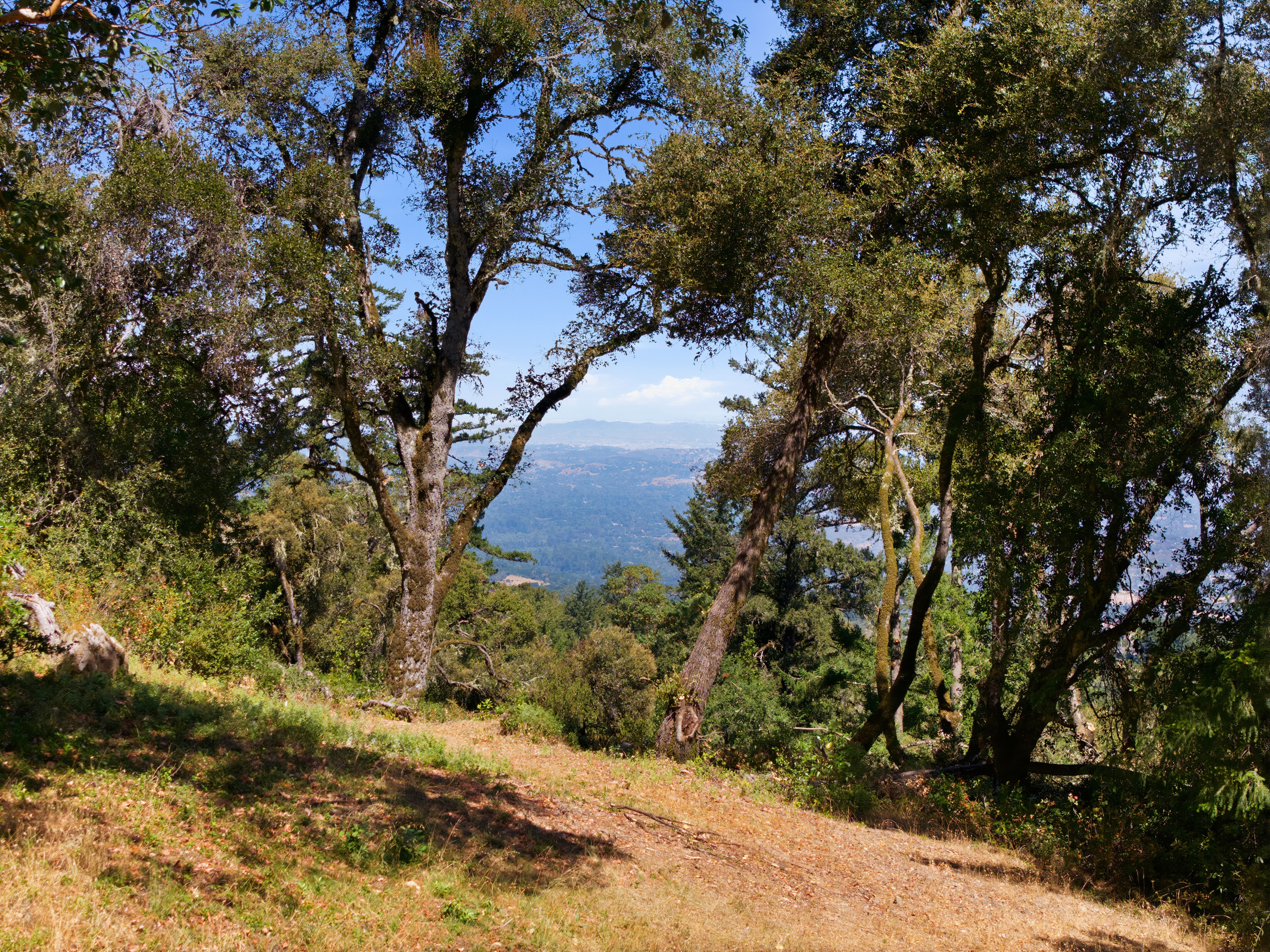  Exceptional Five-Acre Estate Opportunity with Bay Area Views - 物件實景