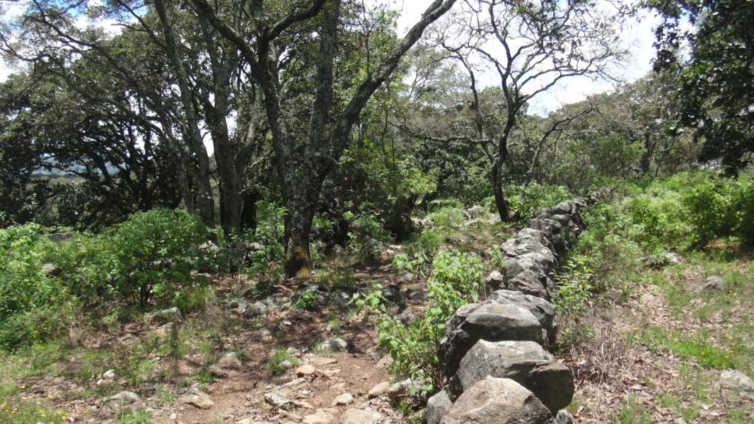 Rancho Tecolapan, Jilotepec, Estado de México, 54270, Mexico, 1 Bedroom Bedrooms, ,Residential,For Sale,Rancho Tecolapan,1443404