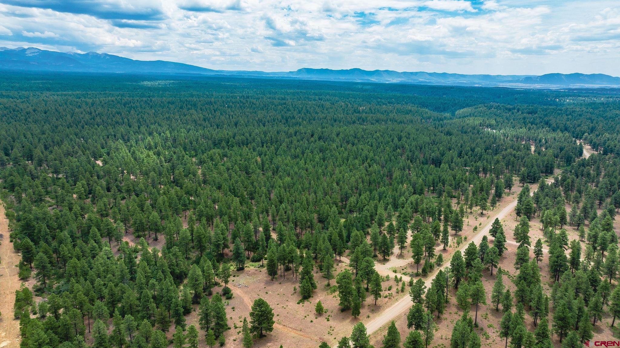 Mancos, Colorado, 81328, United States, 3 Bedrooms Bedrooms, ,4 BathroomsBathrooms,Residential,For Sale,1978860