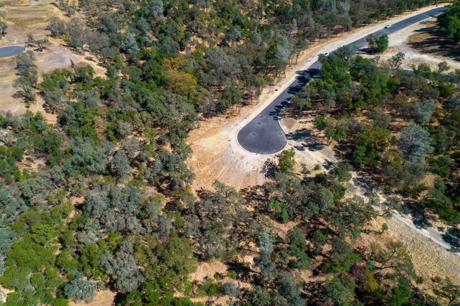 320 Raphael Court, El Dorado Hills, California, 95762, United States, ,Land,For Sale,320 Raphael Court,1643043