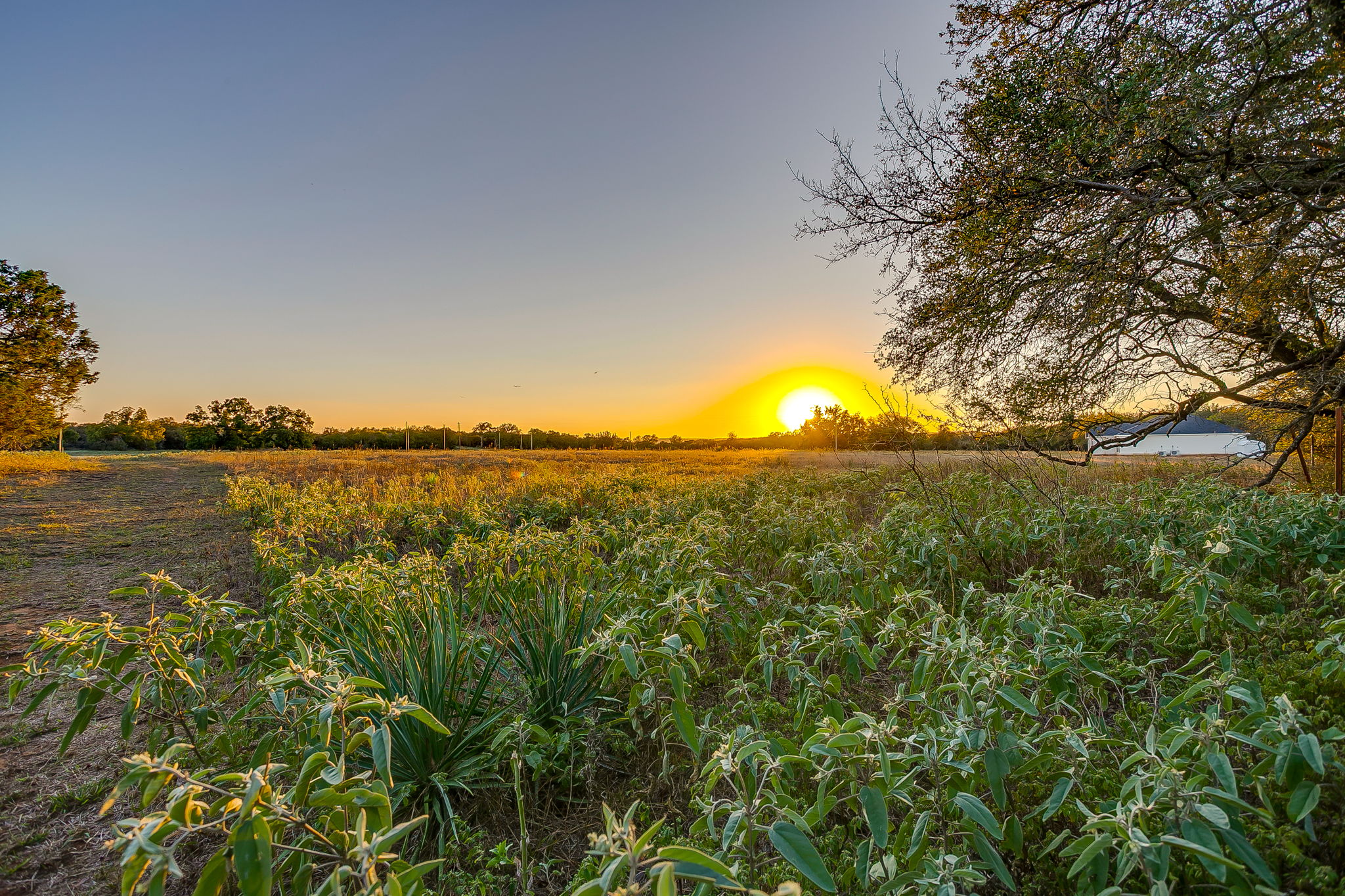  Lot 39 River Canyon, Mineral Wells, TX, 76484 - 物件實景