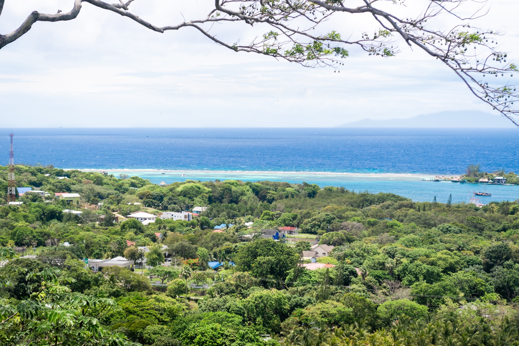  Estate Lot of 0.699 Acres in White Hills, Coral Views Village - 物件實景