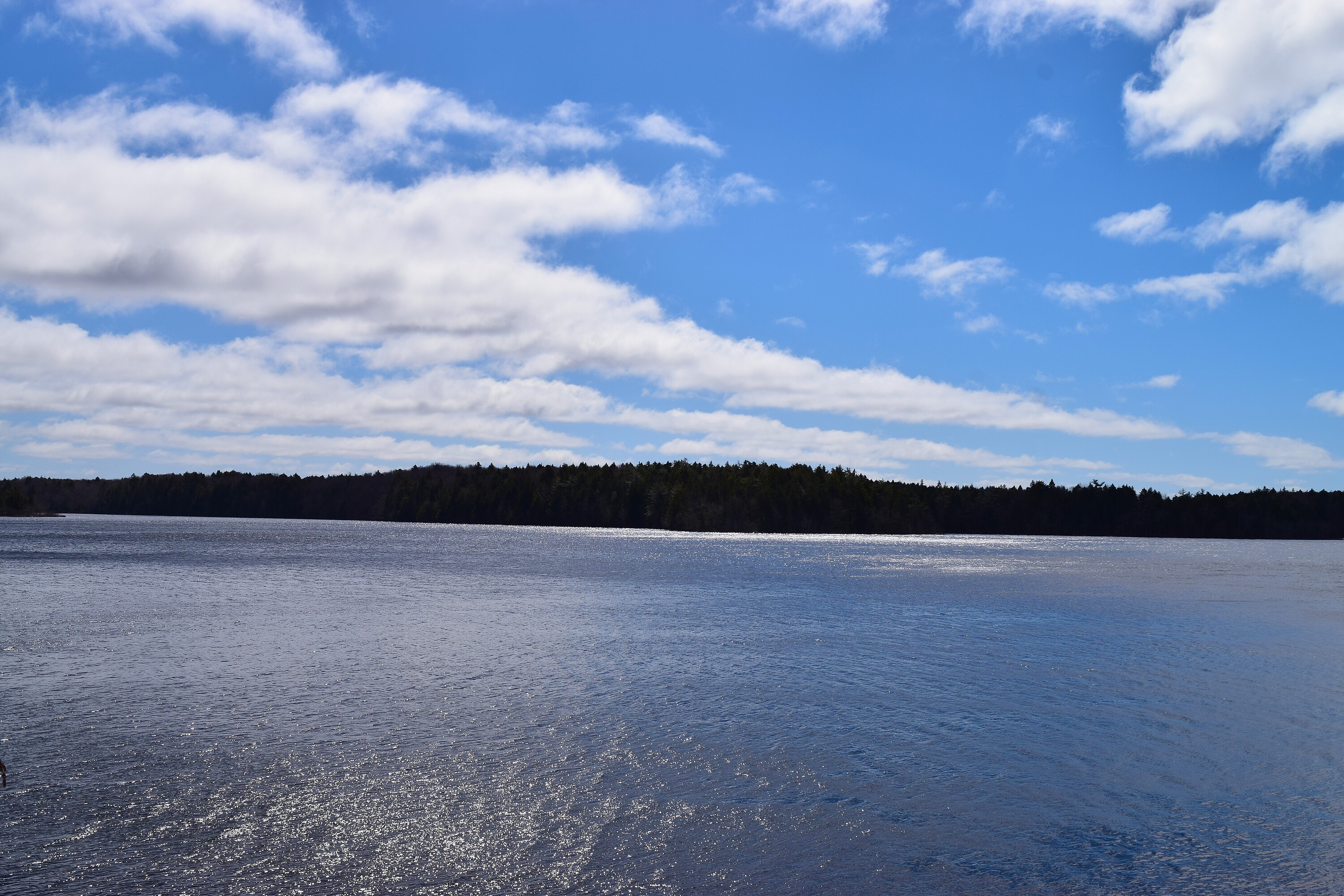  New Tusket, South Shore - 物件實景
