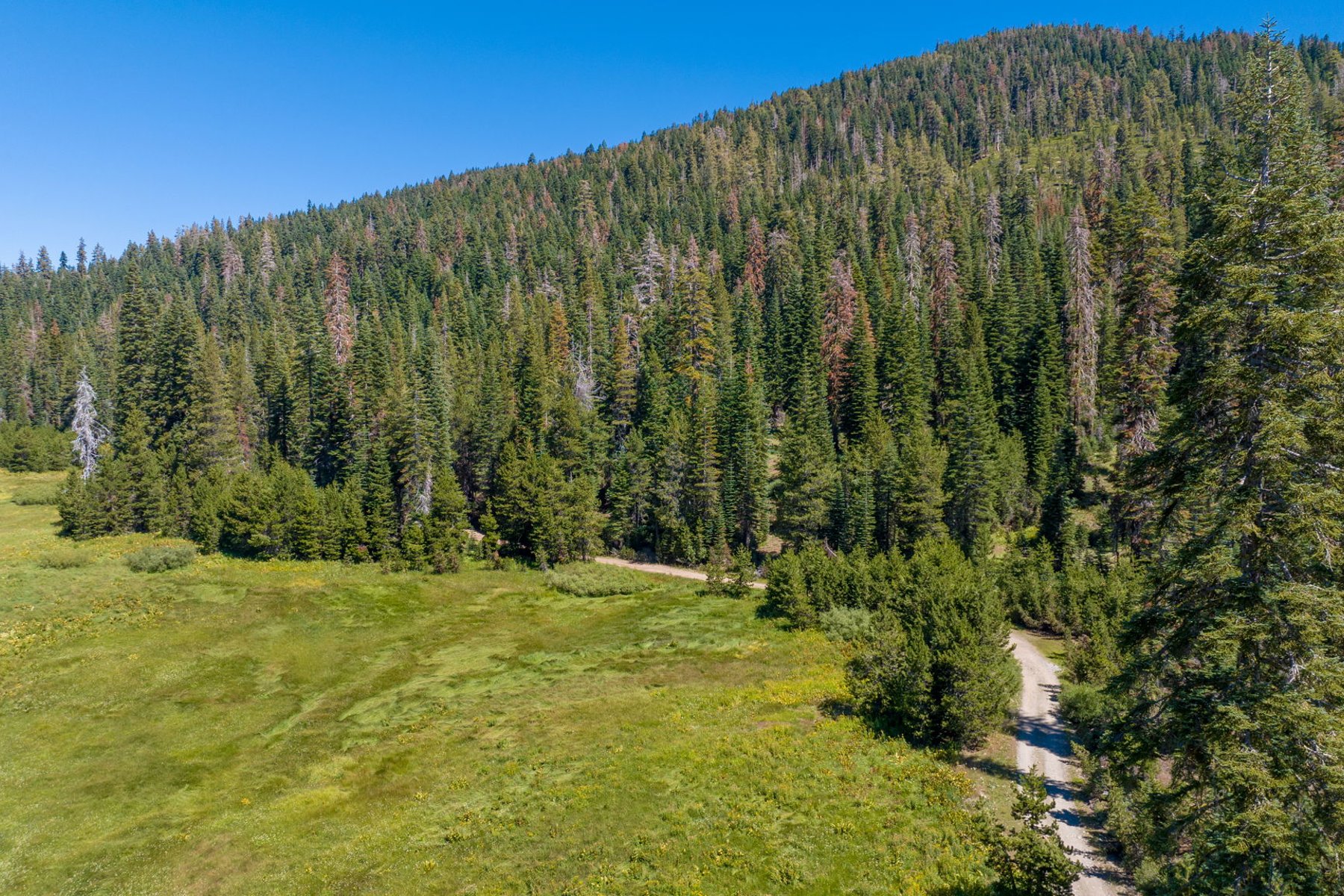  80 Acres of Pristine Land in the Middle of Plumas Eureka State Park - 物件實景