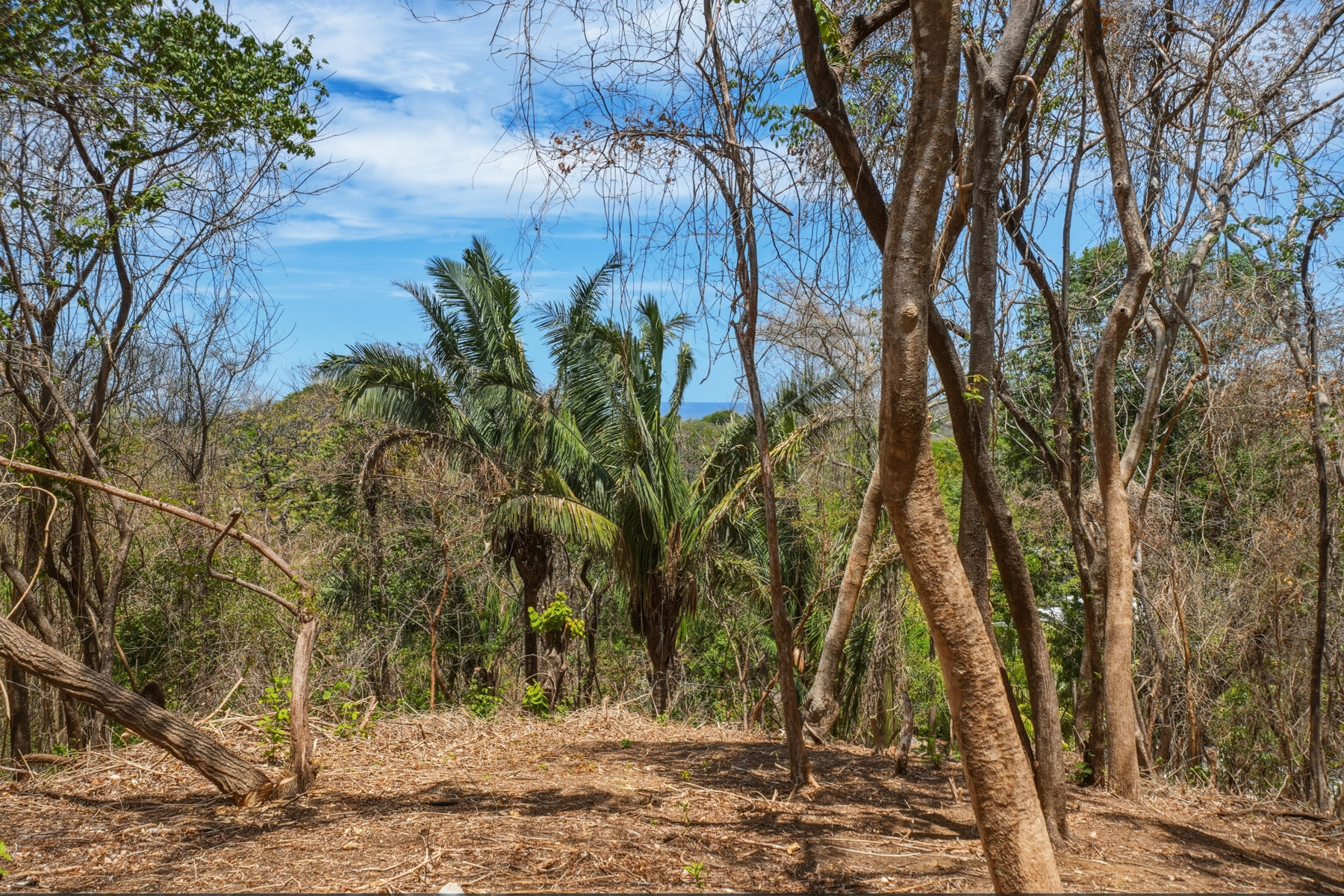  E-9, 1,14 acres with Ocean Views,  &  walkability in one of the best lo - 物件實景