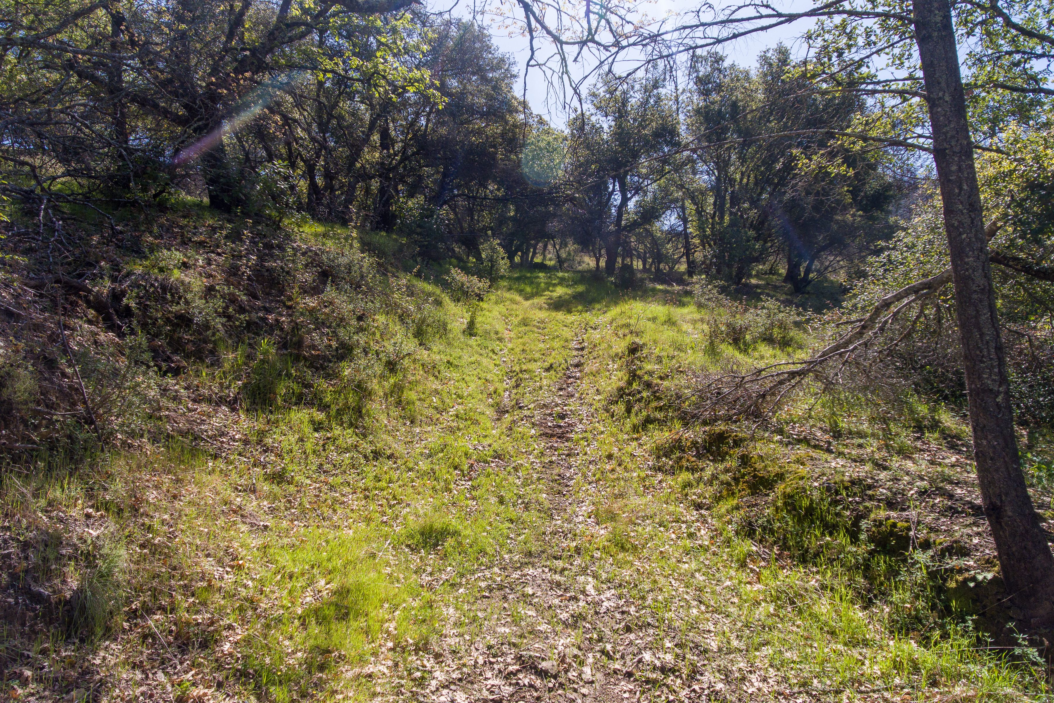  7935 St Helena Road - 物件實景