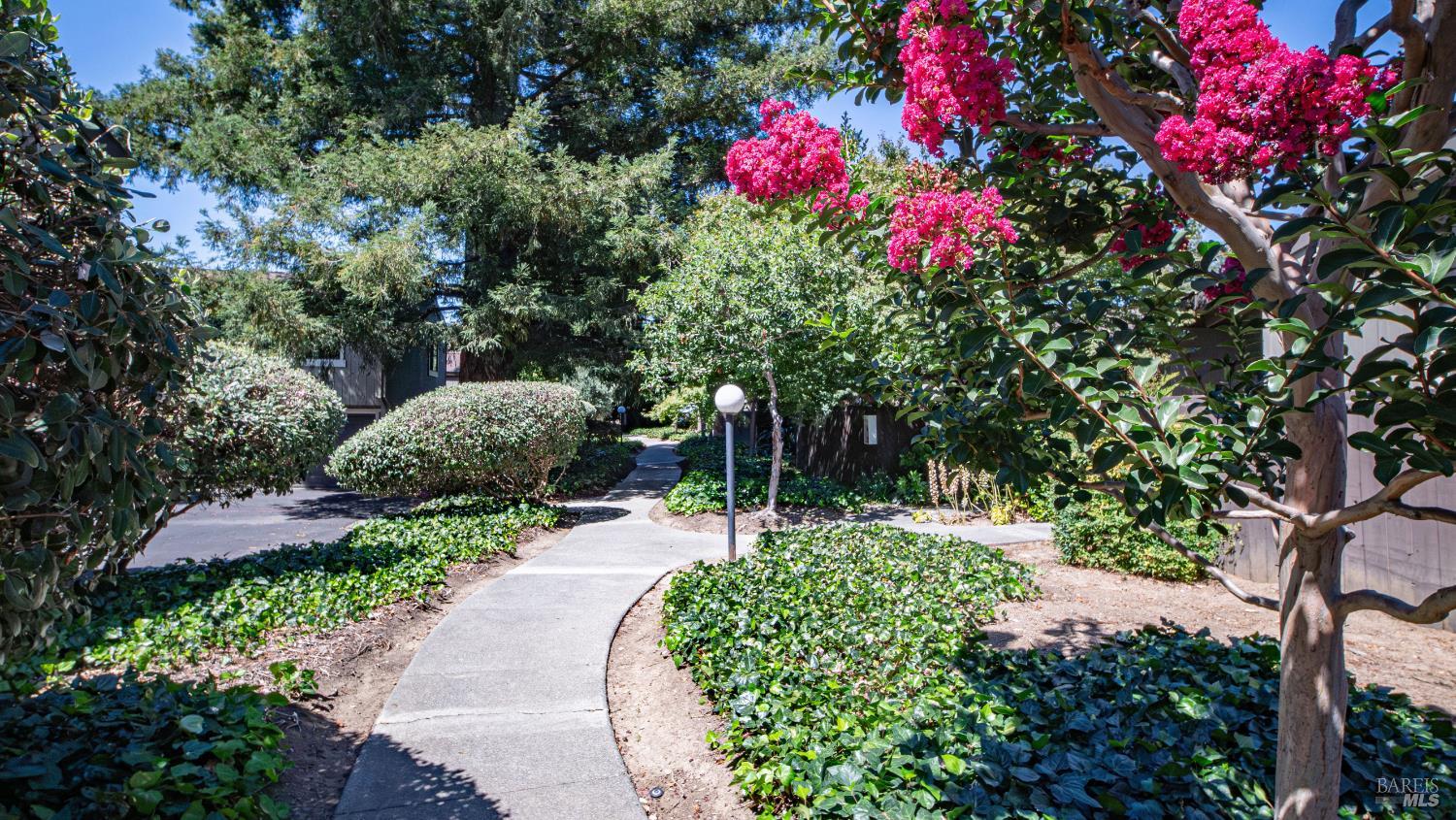 Napa, California, 94559, United States, 3 Bedrooms Bedrooms, ,2 BathroomsBathrooms,Residential,For Sale,1911300