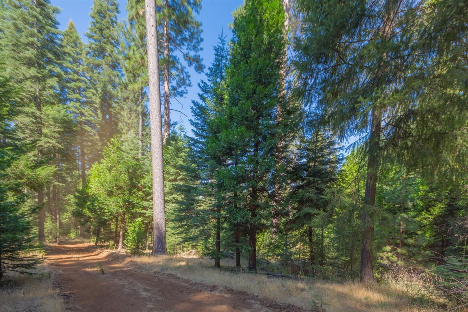 Pollock Pines, California, 95726, United States, ,Residential,For Sale,1982906
