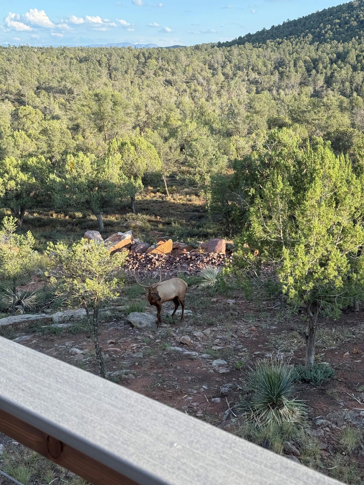 Payson, Arizona, 85541, United States, 3 Bedrooms Bedrooms, ,1 BathroomBathrooms,Residential,For Sale,1906587