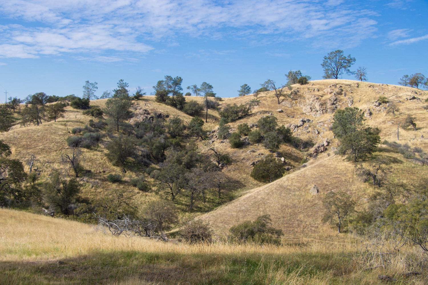 Coarsegold, California, 93614, United States, ,Residential,For Sale,2006211