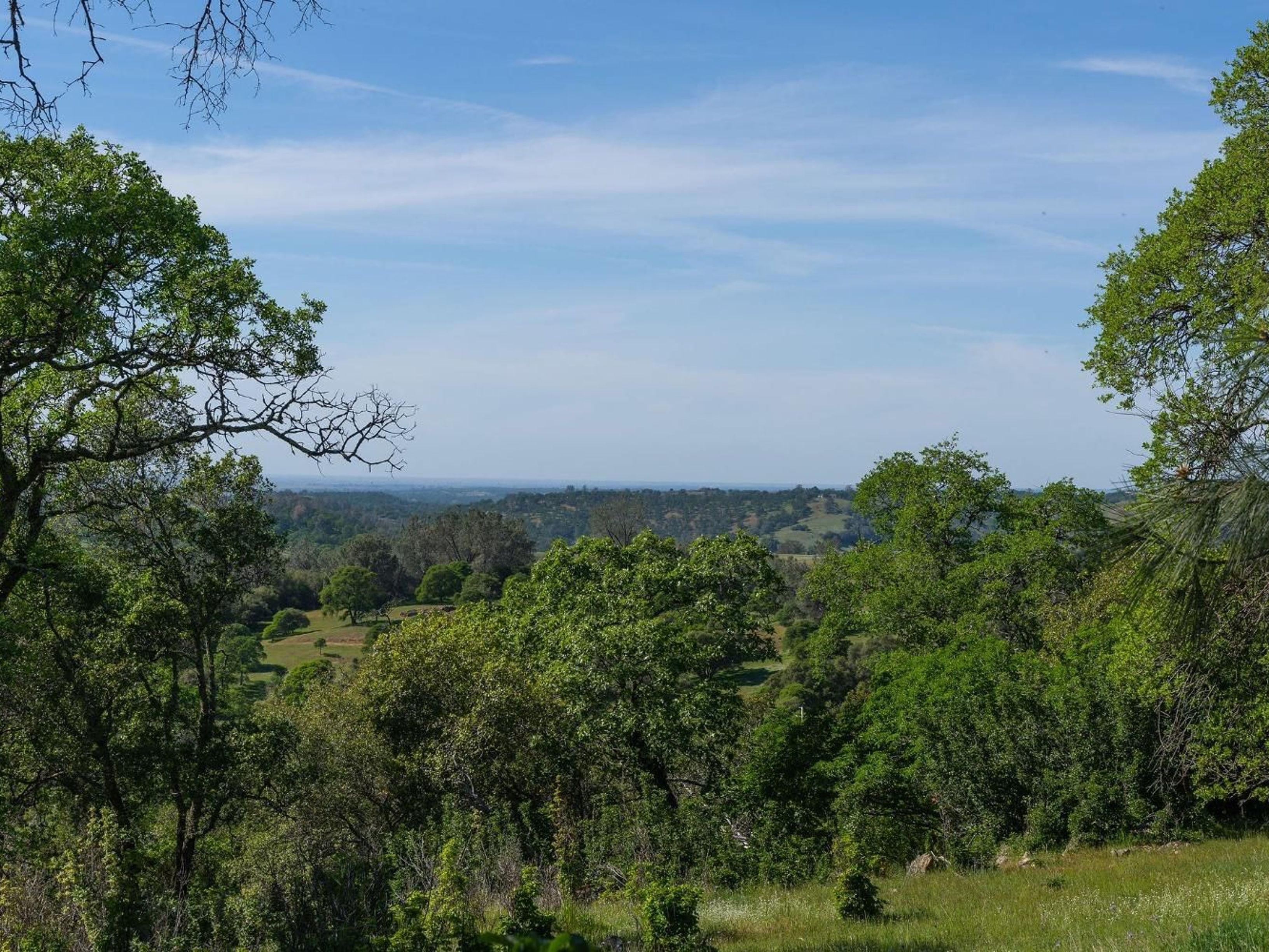  10865 Sunset Drive, Sutter Creek, CA 95685 - 物件實景