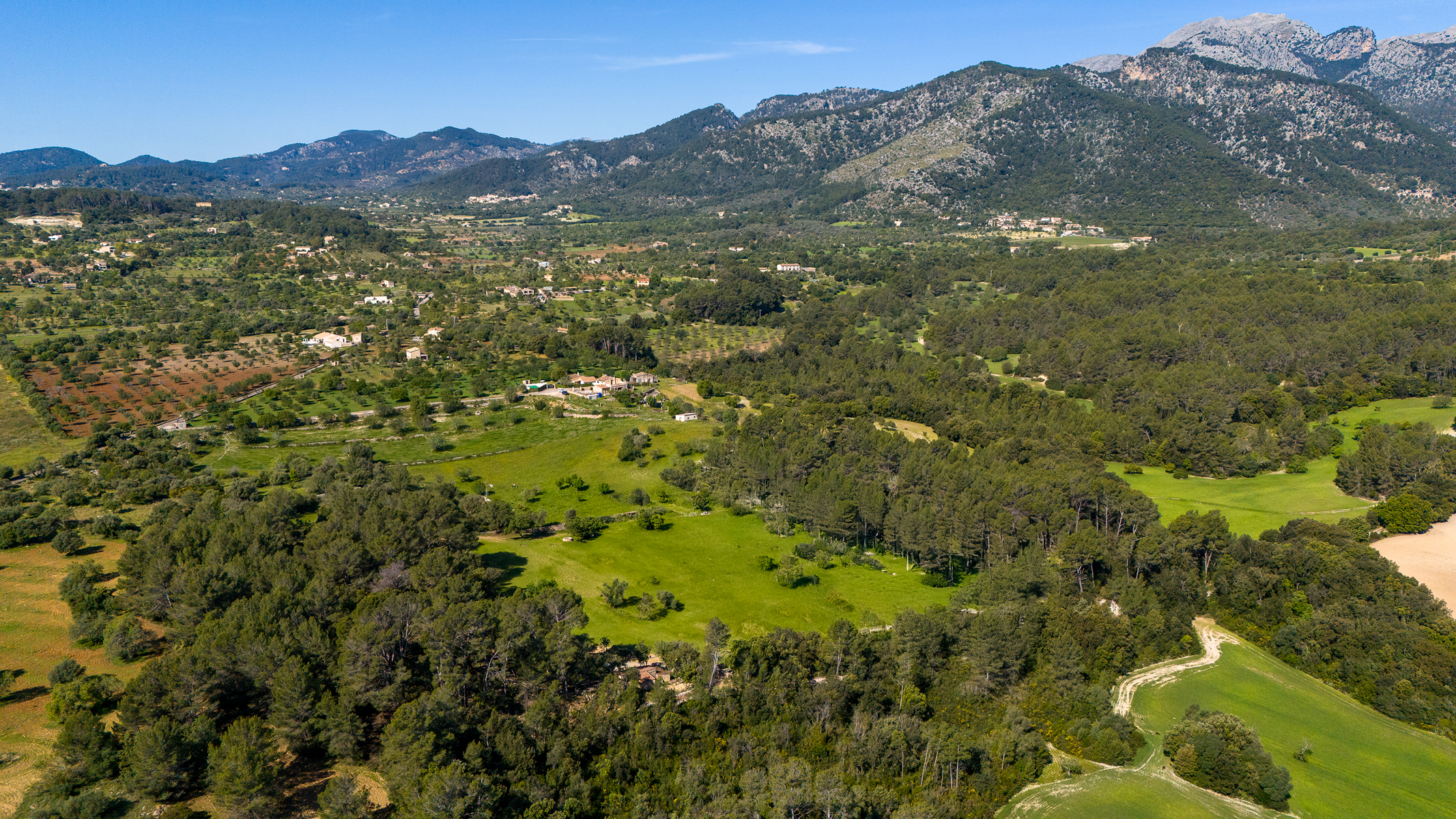  Plot with mountain views near Campanet - 物件實景