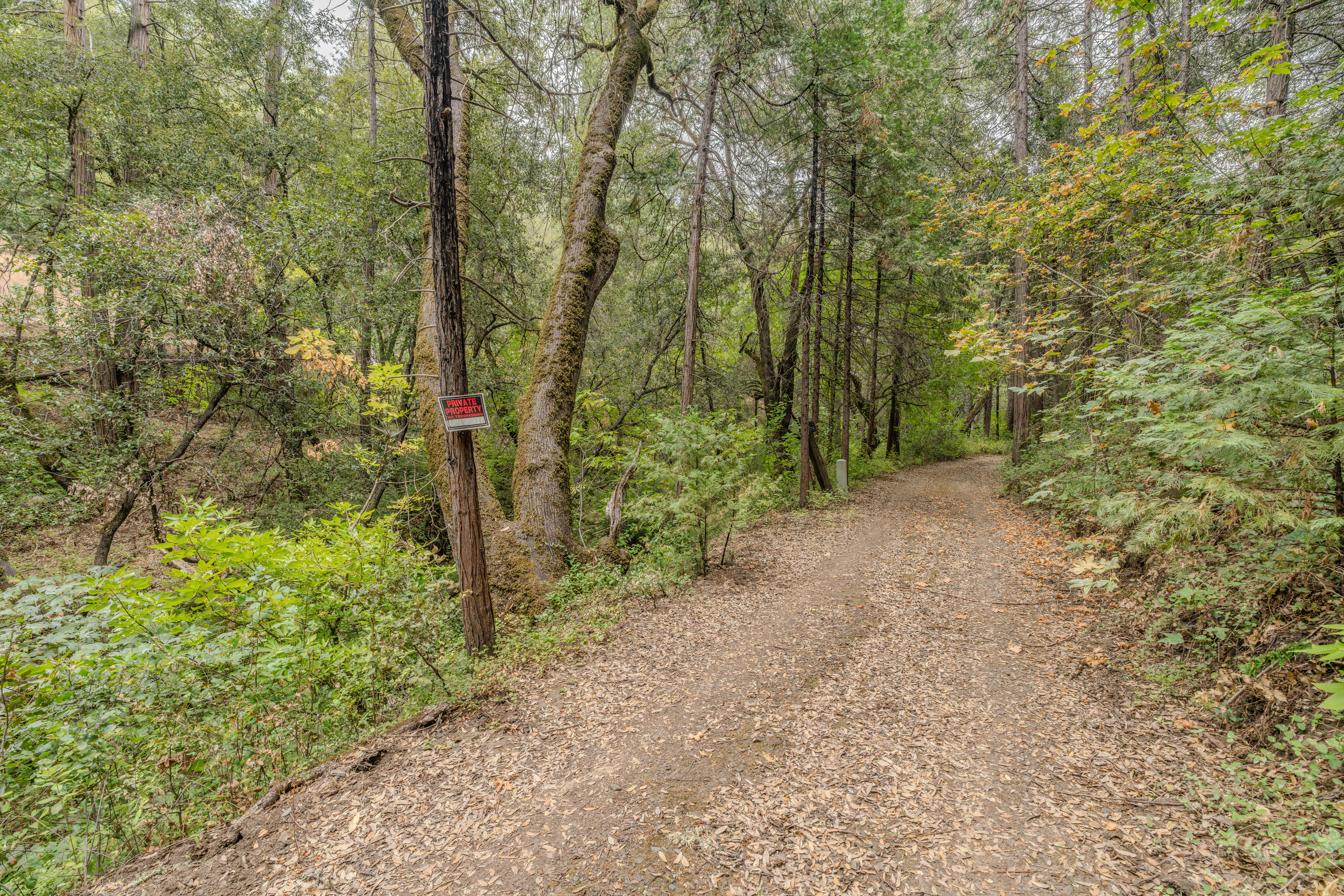  18101 Old River Road, Fiddletown, CA 95629 - 物件實景