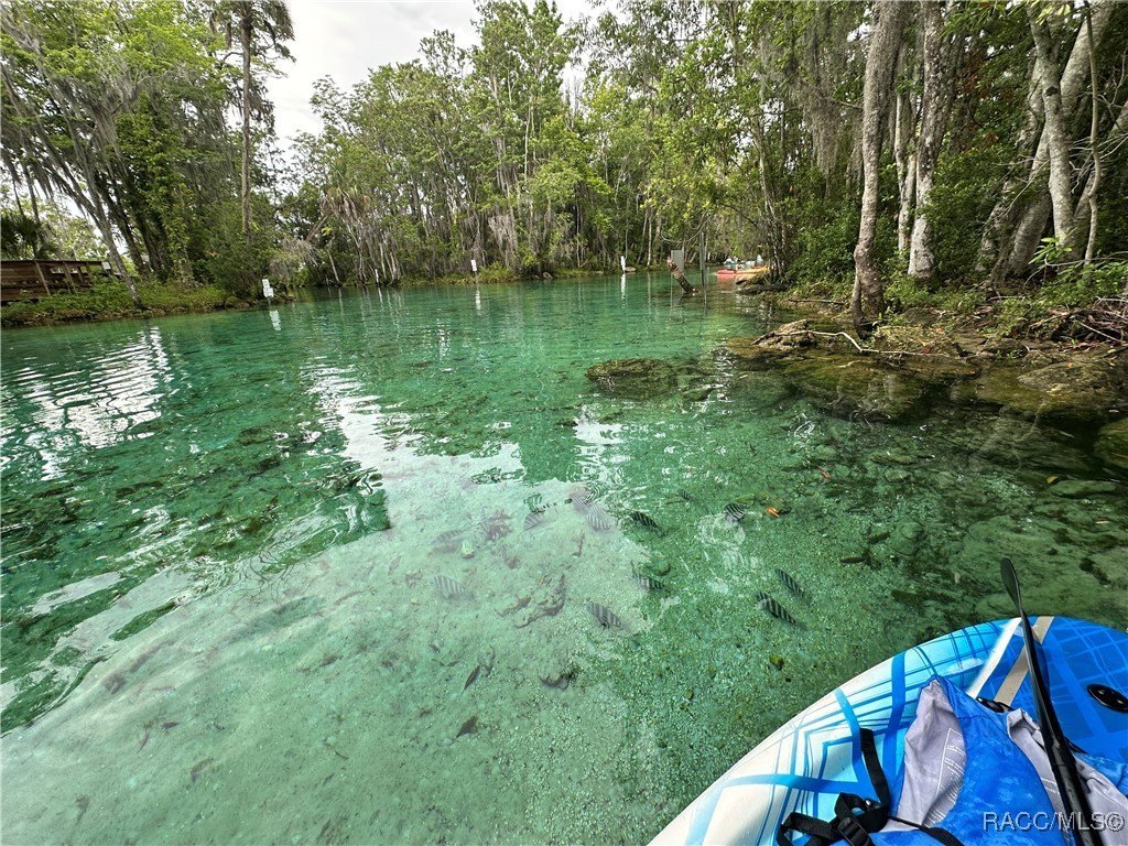 Crystal River, Florida, 34429, United States, 2 Bedrooms Bedrooms, ,4 BathroomsBathrooms,Residential,For Sale,2005515