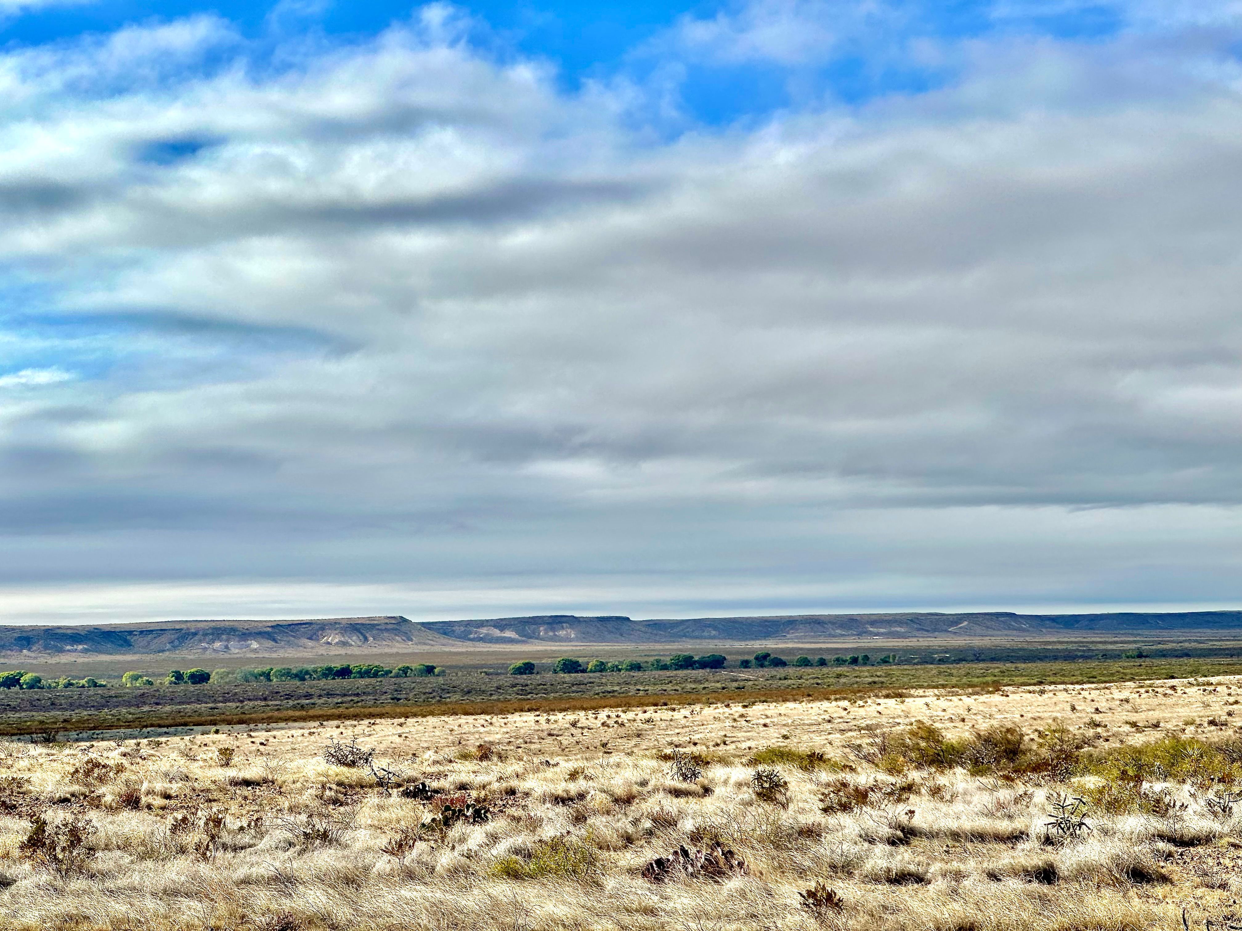  The Alamito Ranch in Presidio County - 物件實景