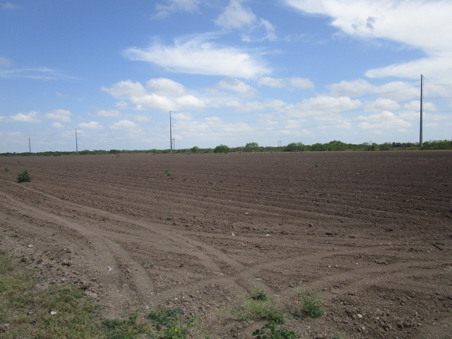 San Benito, Texas, 78586, United States, ,Residential,For Sale,1737428