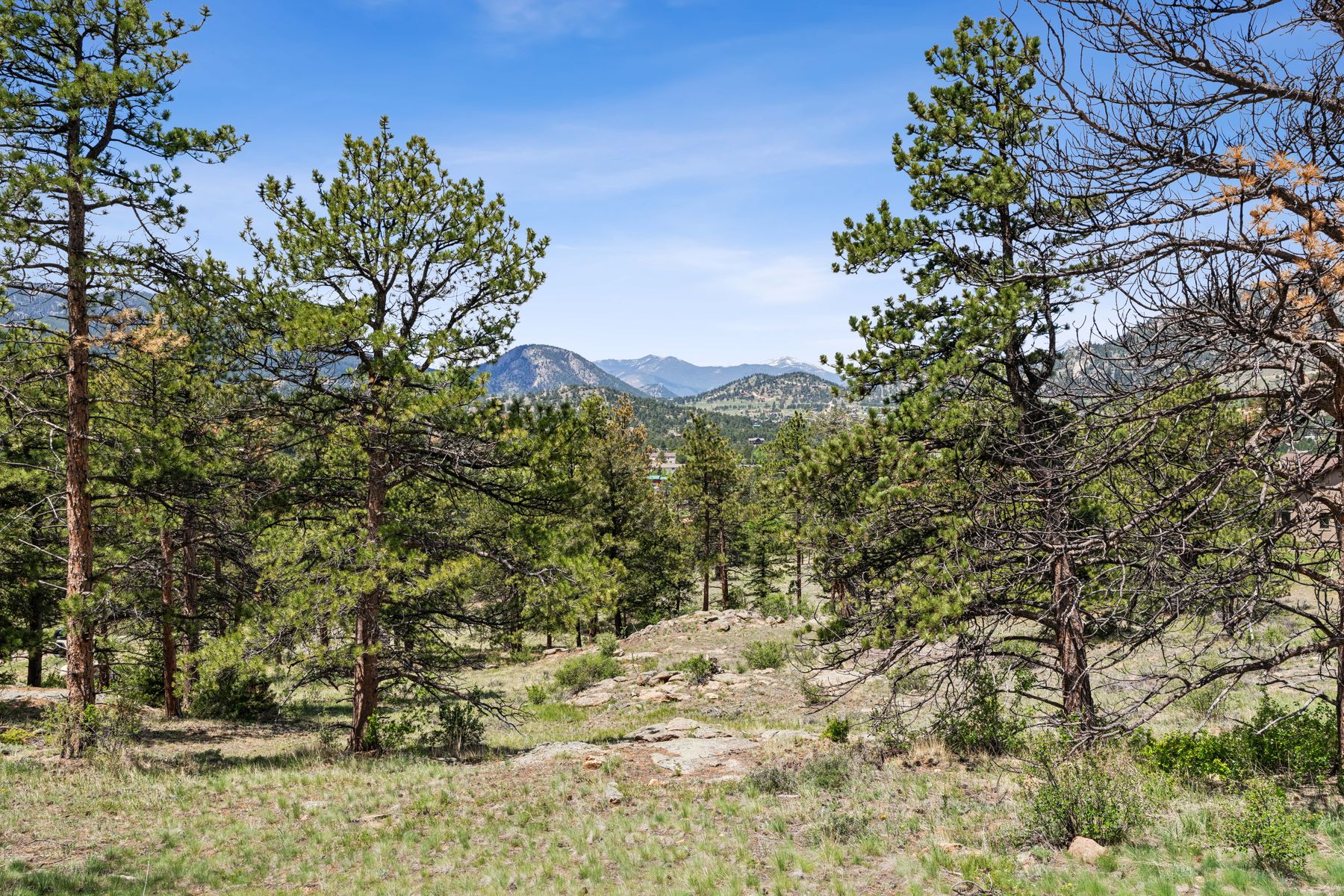  Exclusive Opportunity in Estes Park - 21.78 Acres in Uplands at Fish Creek - 物件實景