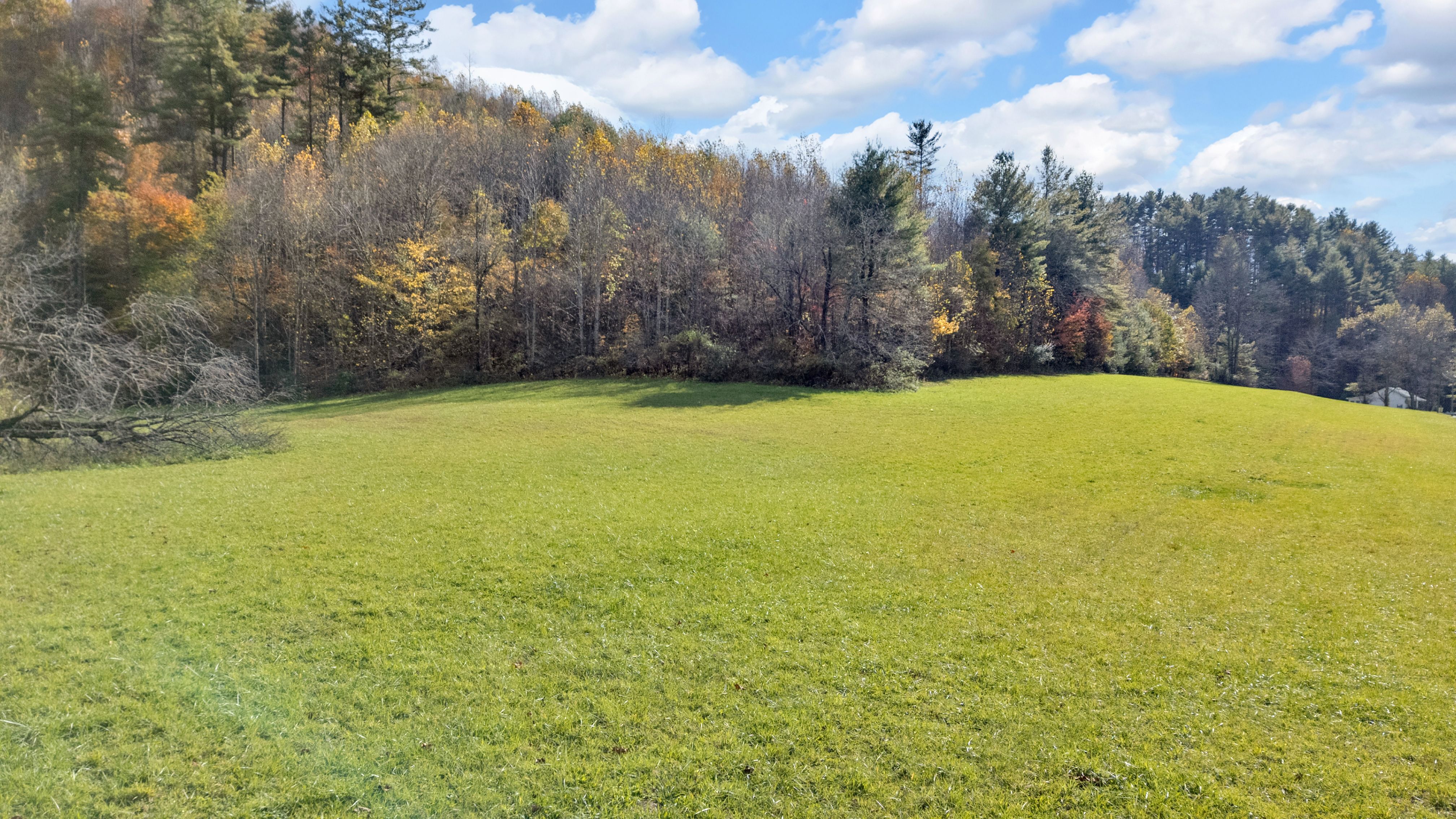  TBD Highway 91, Laurel Bloomery, TN, 37680 - 物件實景