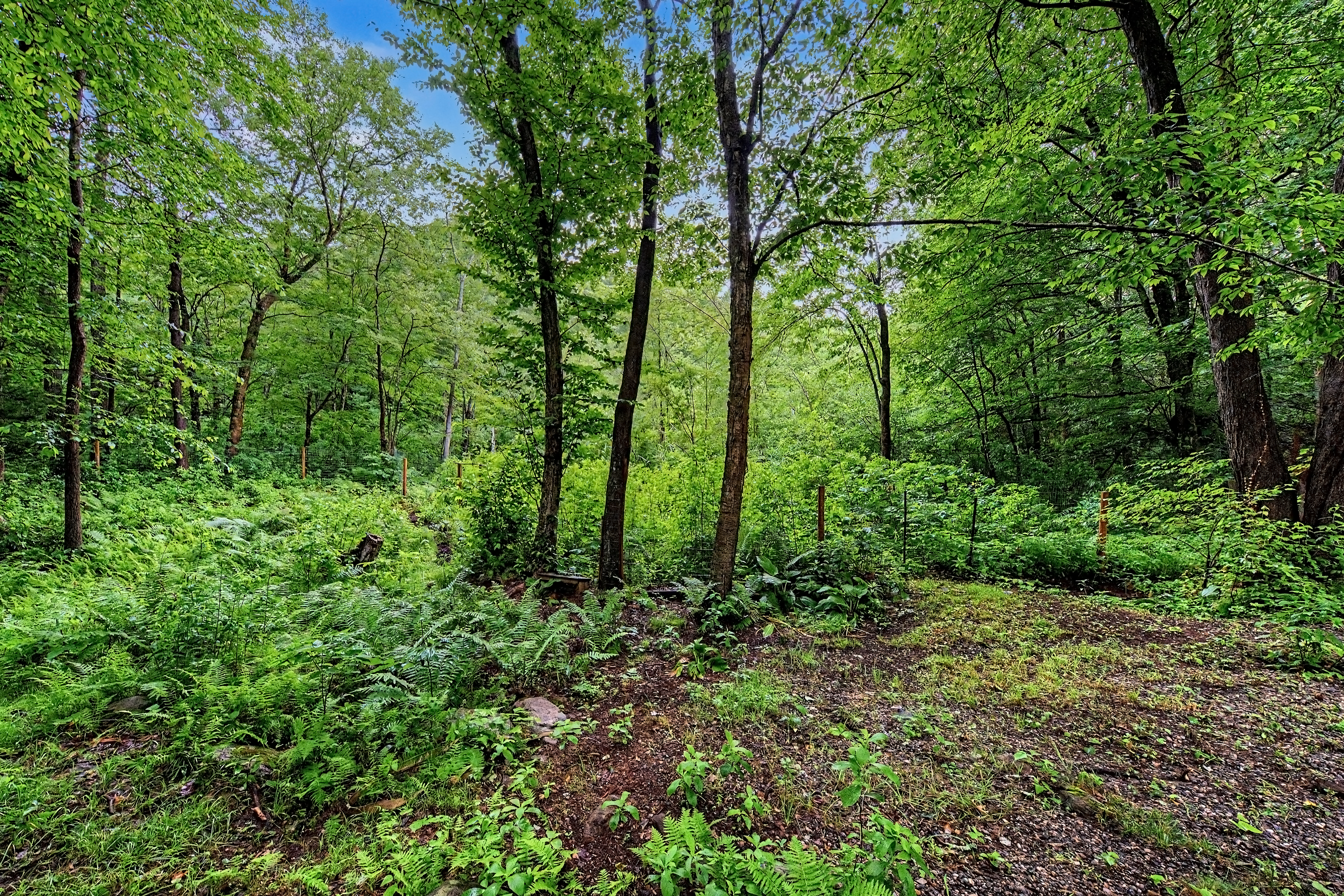  Woodland charm meets Clinton beach rights. - 物件實景