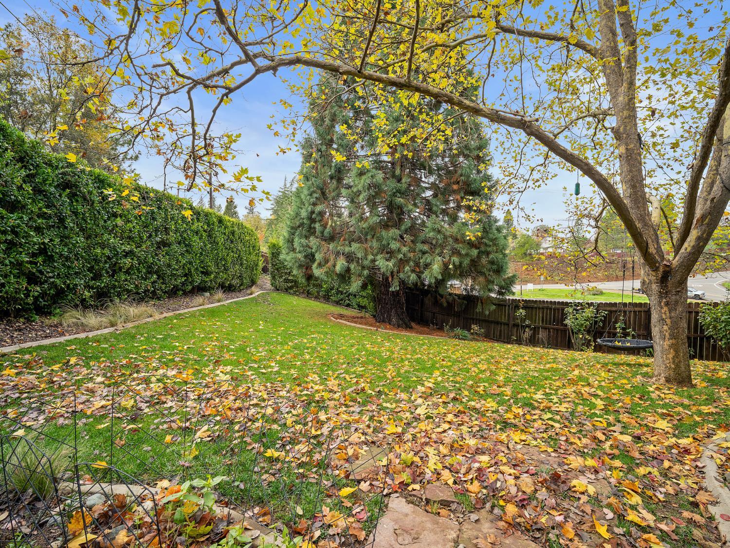 Placerville, California, 95667, United States, 3 Bedrooms Bedrooms, ,3 BathroomsBathrooms,Residential,For Sale,1996767