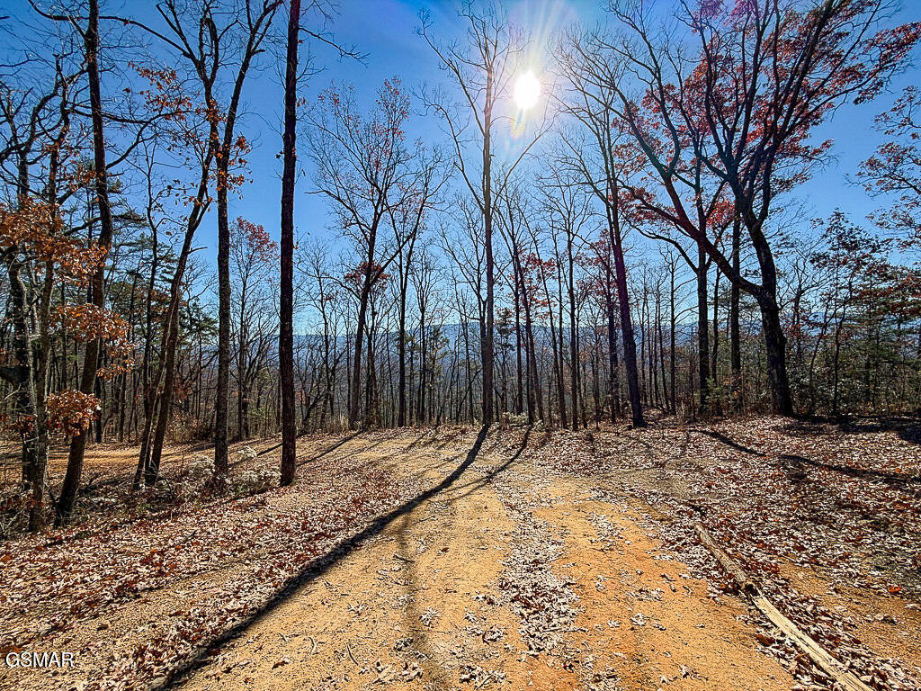 Sevierville, Tennessee, 37876, United States, ,Land,For Sale,2008093