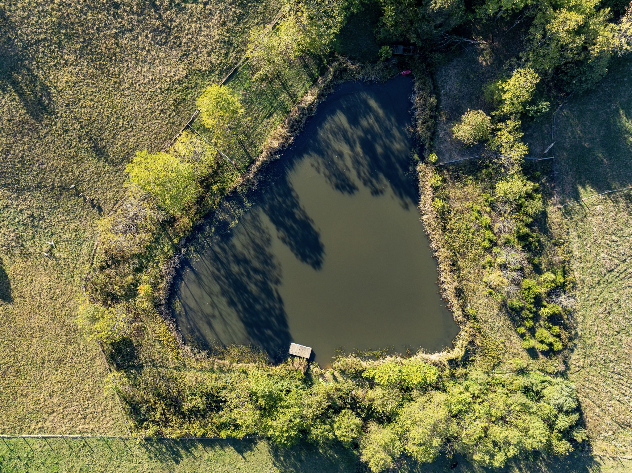 Hillsboro, Kentucky, 41049, United States, 3 Bedrooms Bedrooms, ,3 BathroomsBathrooms,Residential,For Sale,1984101