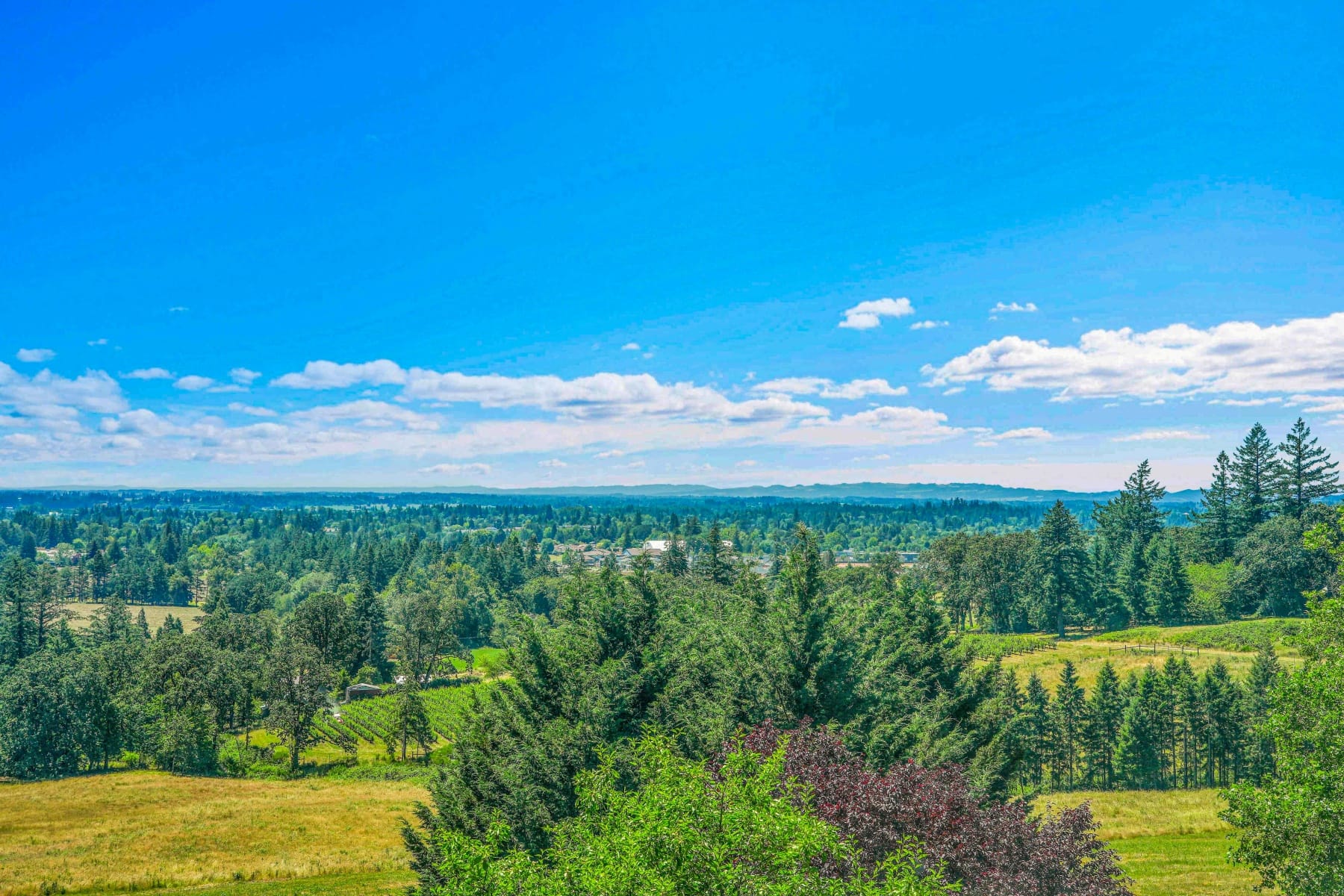  27100 NE BELL RD Newberg, OR 97132 - 物件實景
