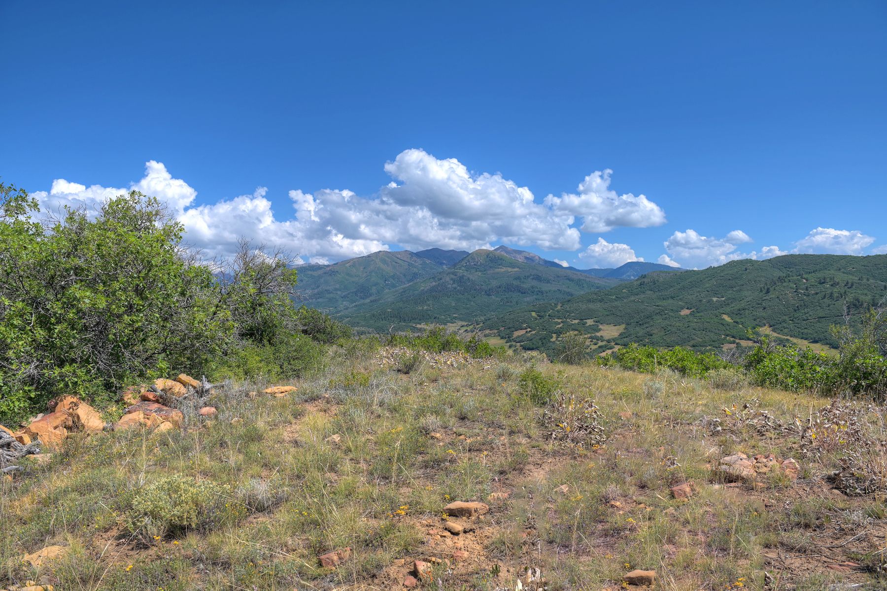  TBD Cross Creek Road, Hesperus, CO 81326 - 物件實景