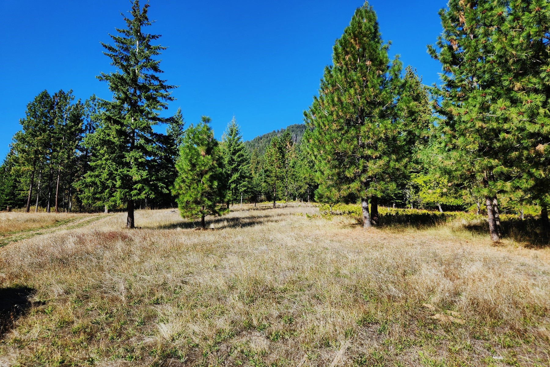  Lakeview 10 Acres in Hope Idaho - 物件實景