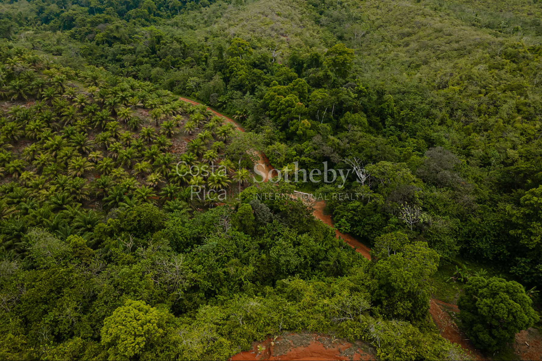  Ocean and River Views in Pristine South Costa Rica - 物件實景