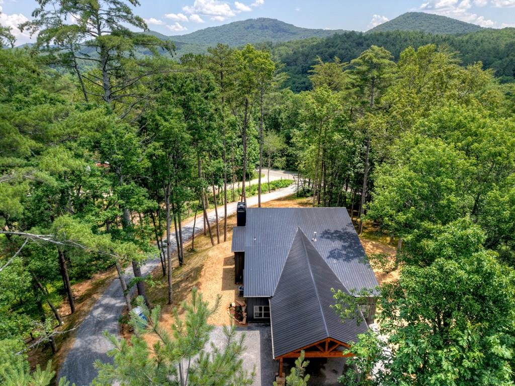 Mineral Bluff, Georgia, 30559, United States, 3 Bedrooms Bedrooms, ,3 BathroomsBathrooms,Residential,For Sale,1871294