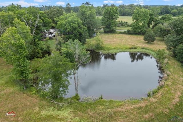 Carthage, Texas, 75633, United States, ,Land,For Sale,1826427