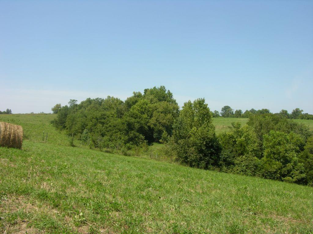 1400 Curtis Pike, Richmond, Kentucky, 40475, United States, ,Land,For Sale,1400 Curtis Pike,1616978