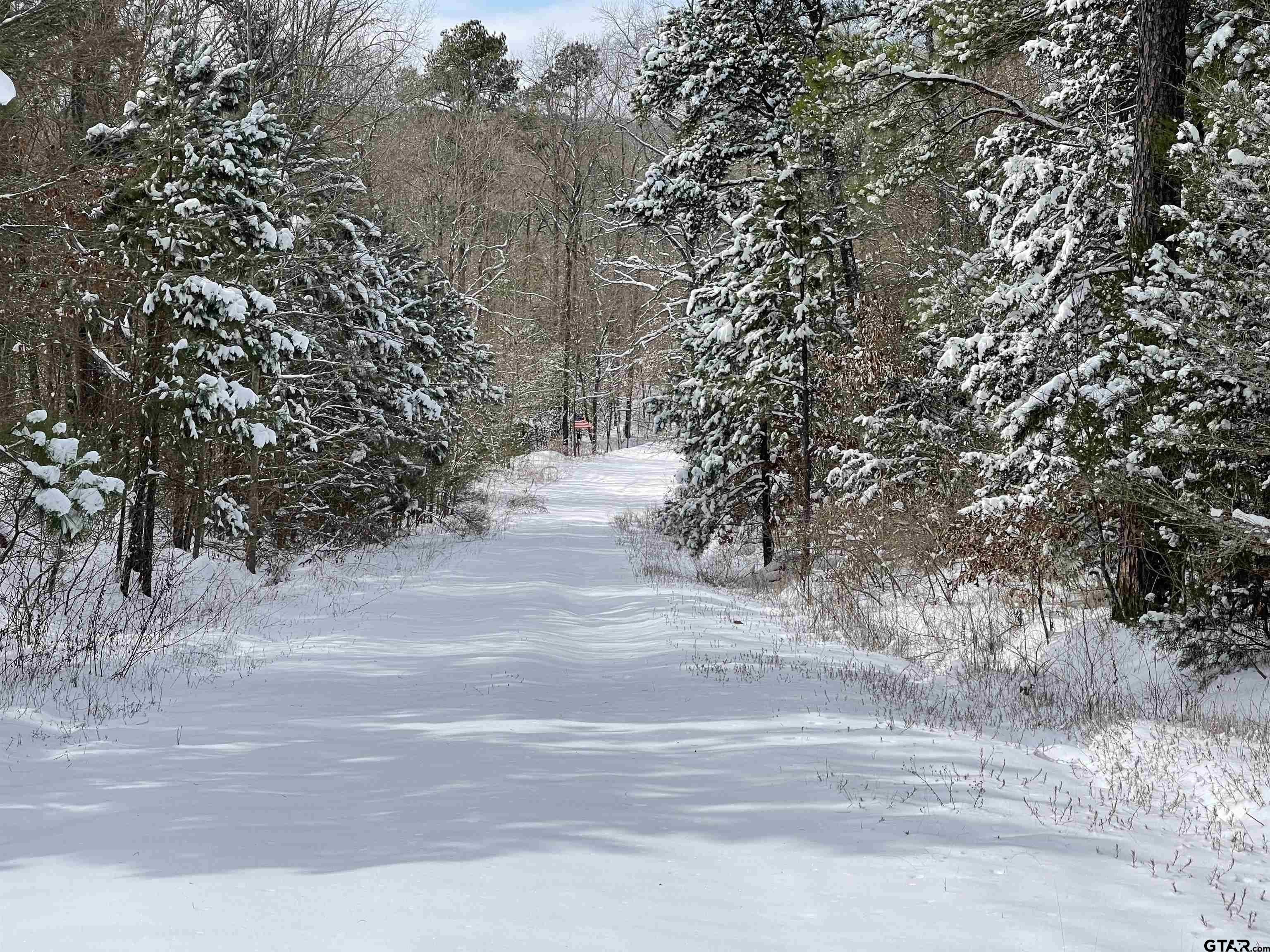 Lone Star, Texas, 75668, United States, 2 Bedrooms Bedrooms, ,1 BathroomBathrooms,Residential,For Sale,1979709