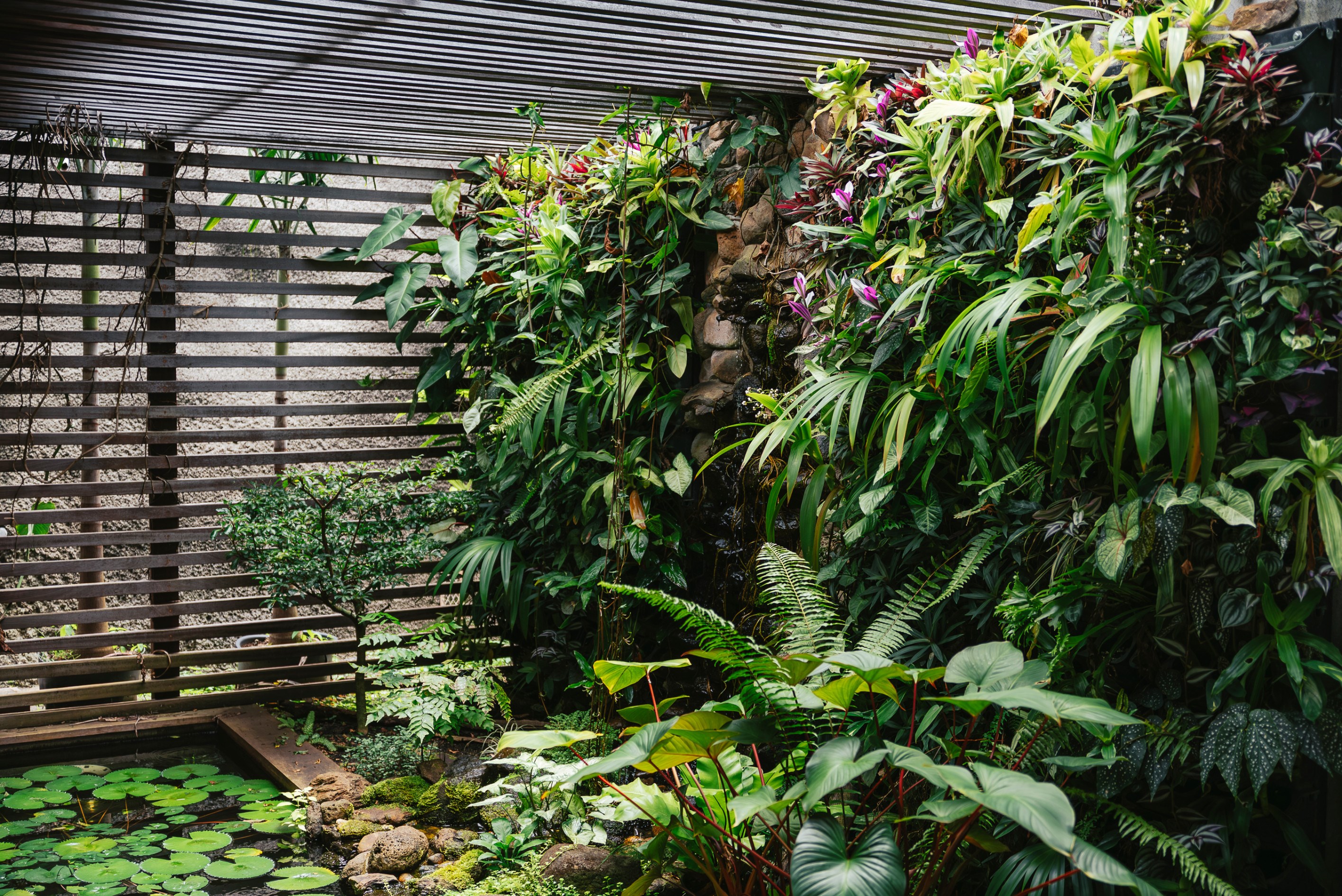  Tahiti – Punaauia - Property with views of Moorea on over 2,000 m² of land - 物件實景