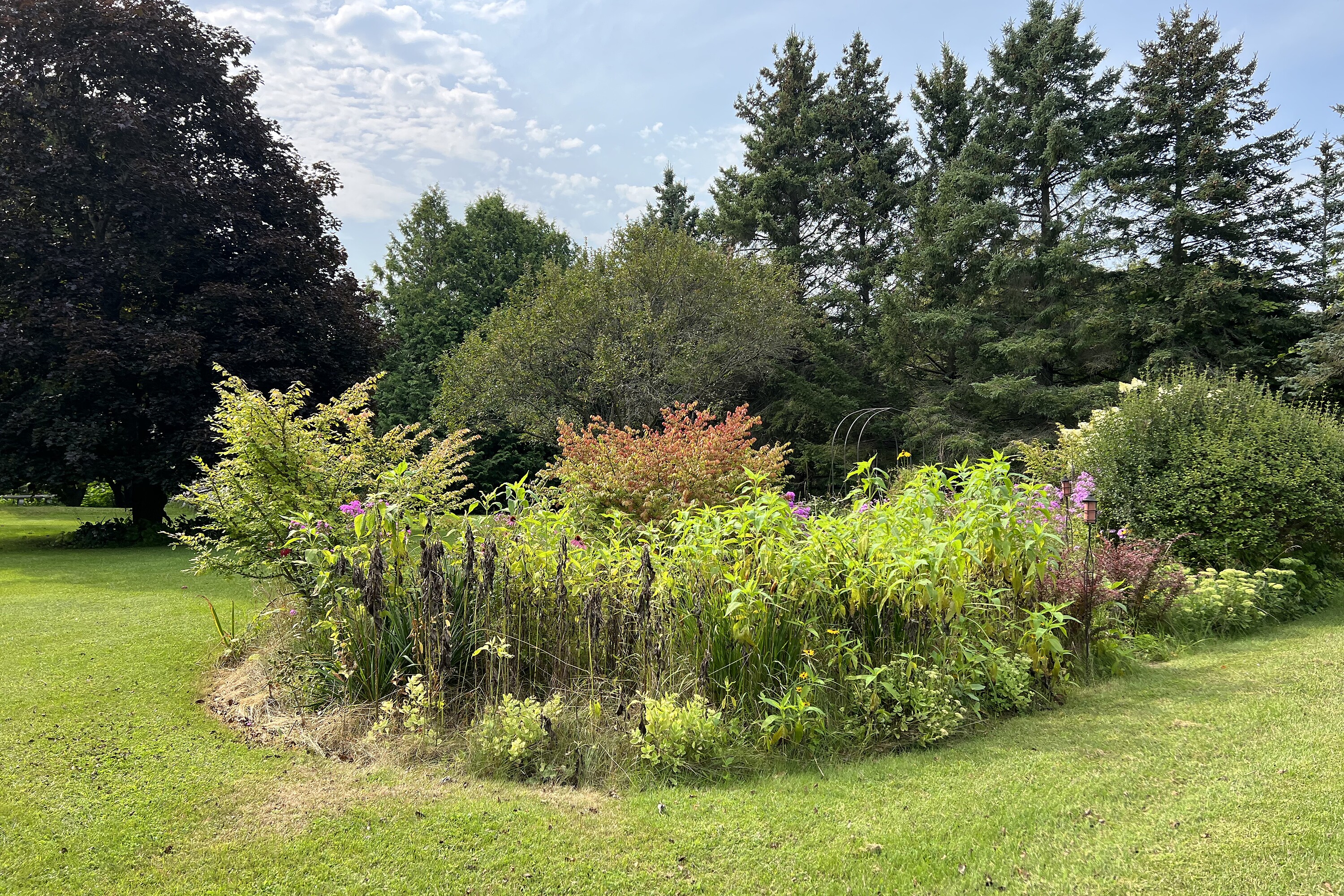  Warkworth Country Retreat - 物件實景