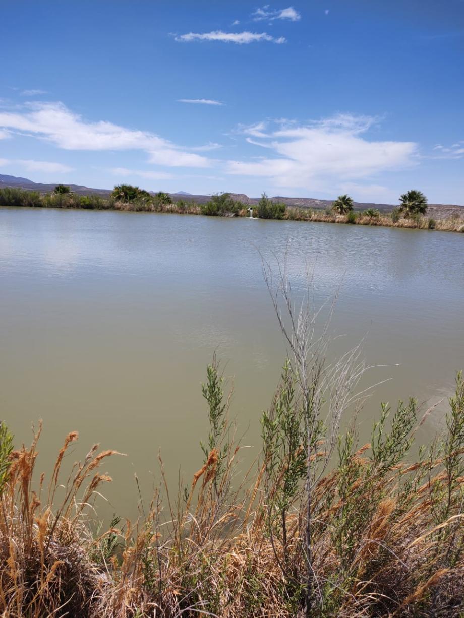 San Francisco de Conchos, Chihuahua, 33680, Mexico, 1 Bedroom Bedrooms, ,Residential,For Sale,1991228