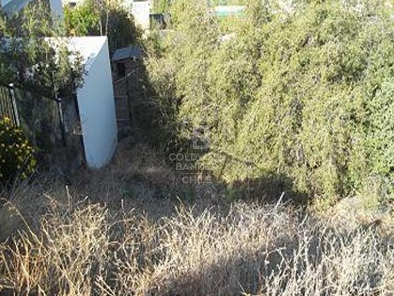 Lo Barnechea, Chile, ,Land,For Sale,1902149