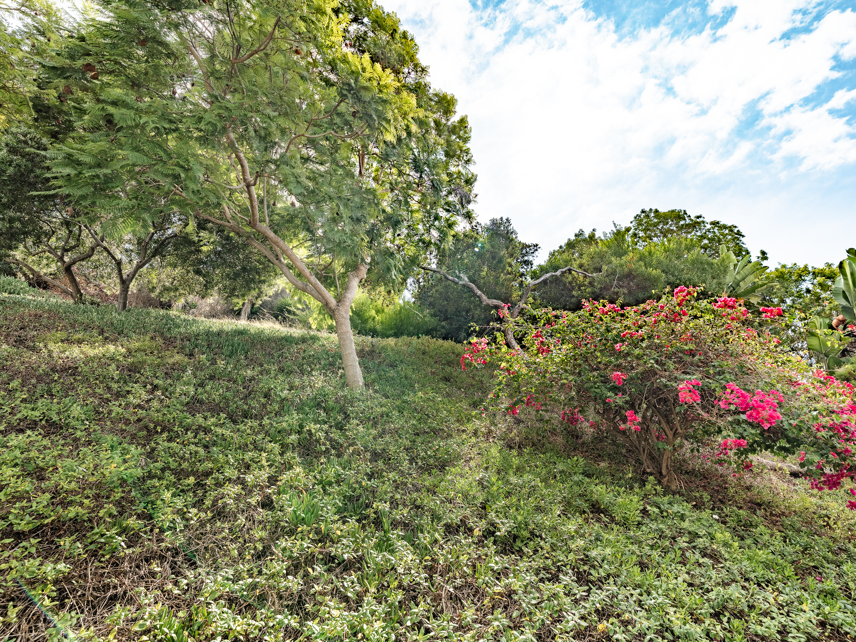  2431 La Costa Avenue, Carlsbad, CA 92009 - 物件實景