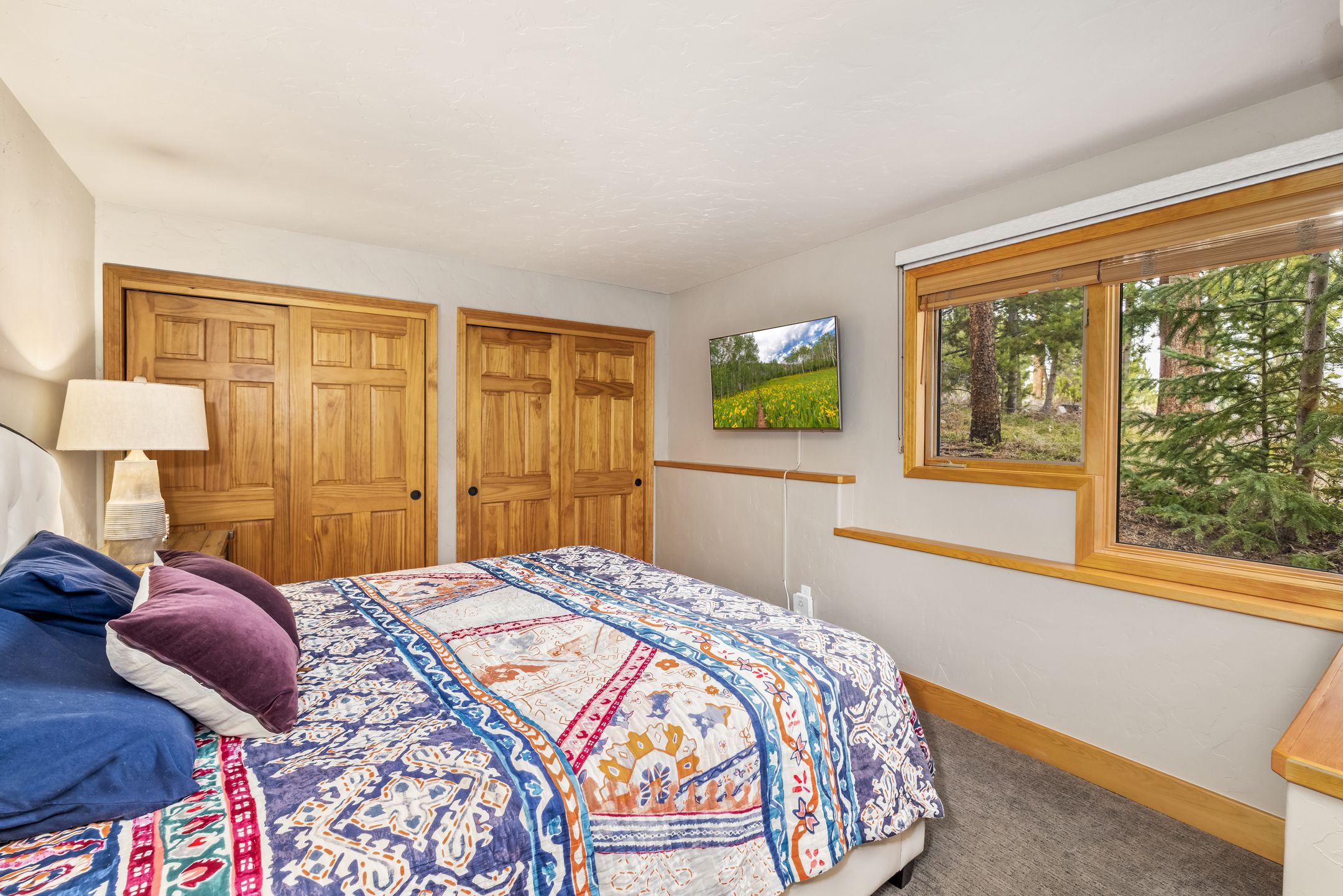  1793 Falcon Drive, Silverthorne, CO, 80498 - 物件實景