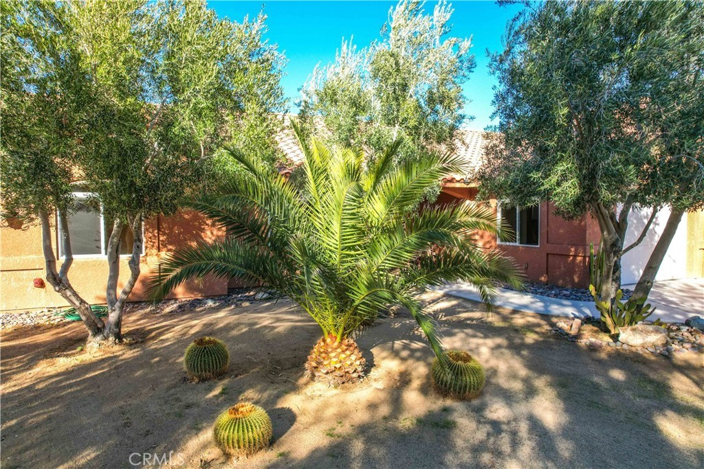 61218 Sandalwood, Joshua Tree, California, 92252, United States, 3 Bedrooms Bedrooms, ,2 BathroomsBathrooms,Residential,For Sale,61218 Sandalwood,1619785